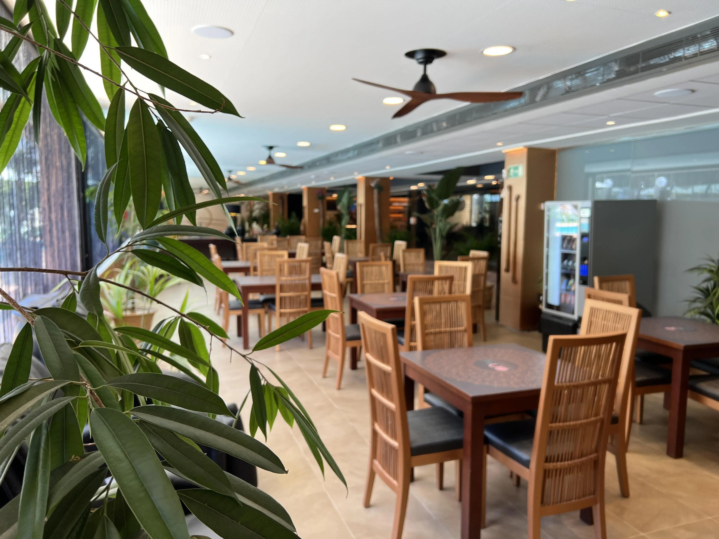 On Family Islantilla