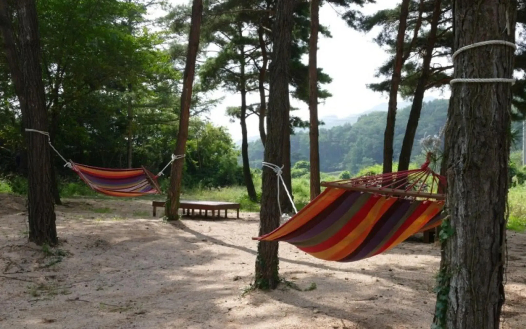 Sangju Yeoyuroun Hwangtojip Pension