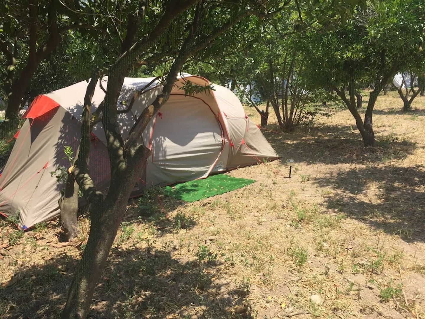 Bodrum Masali Camping - Hostel