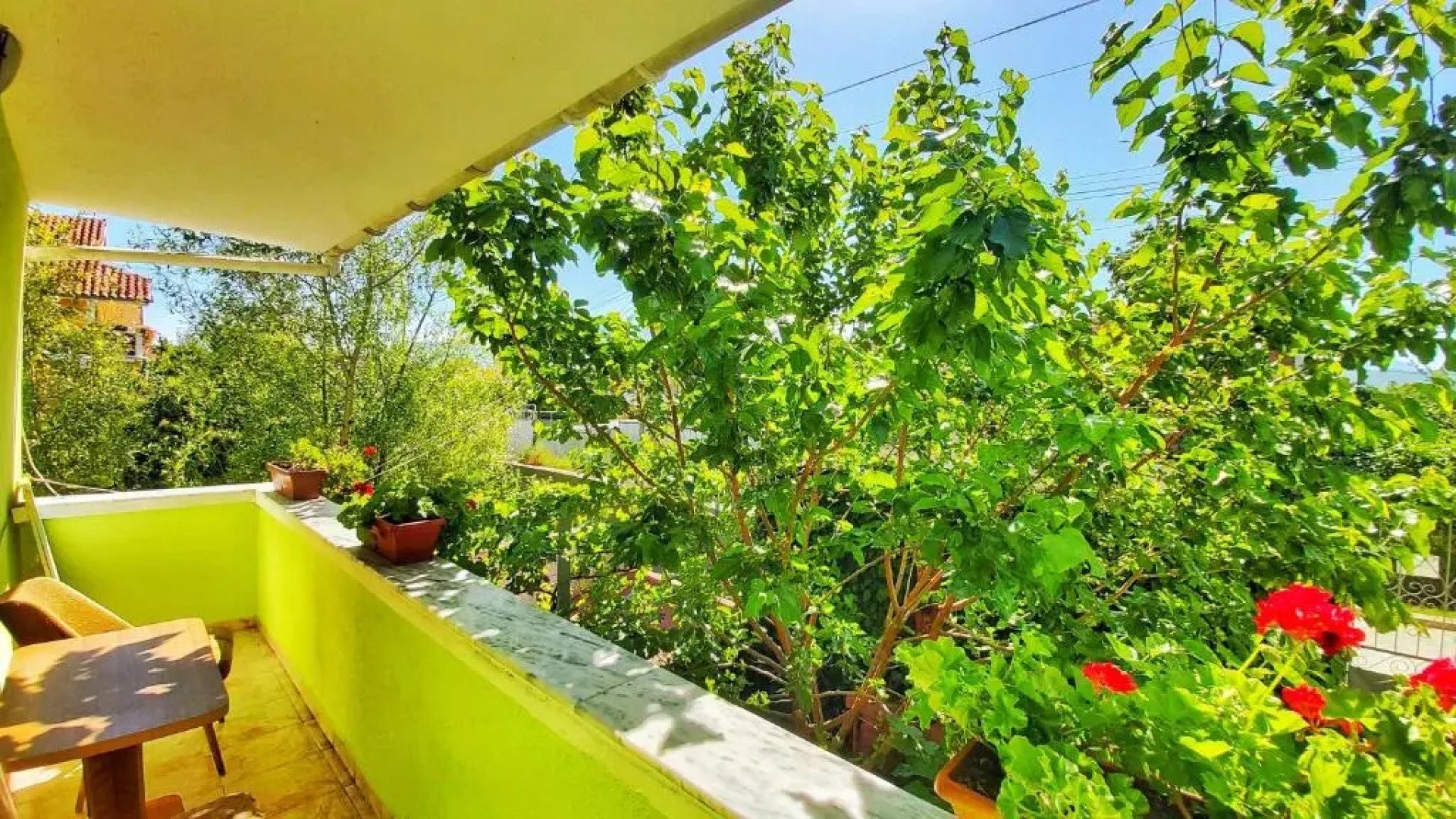 Guest House Pogradeci