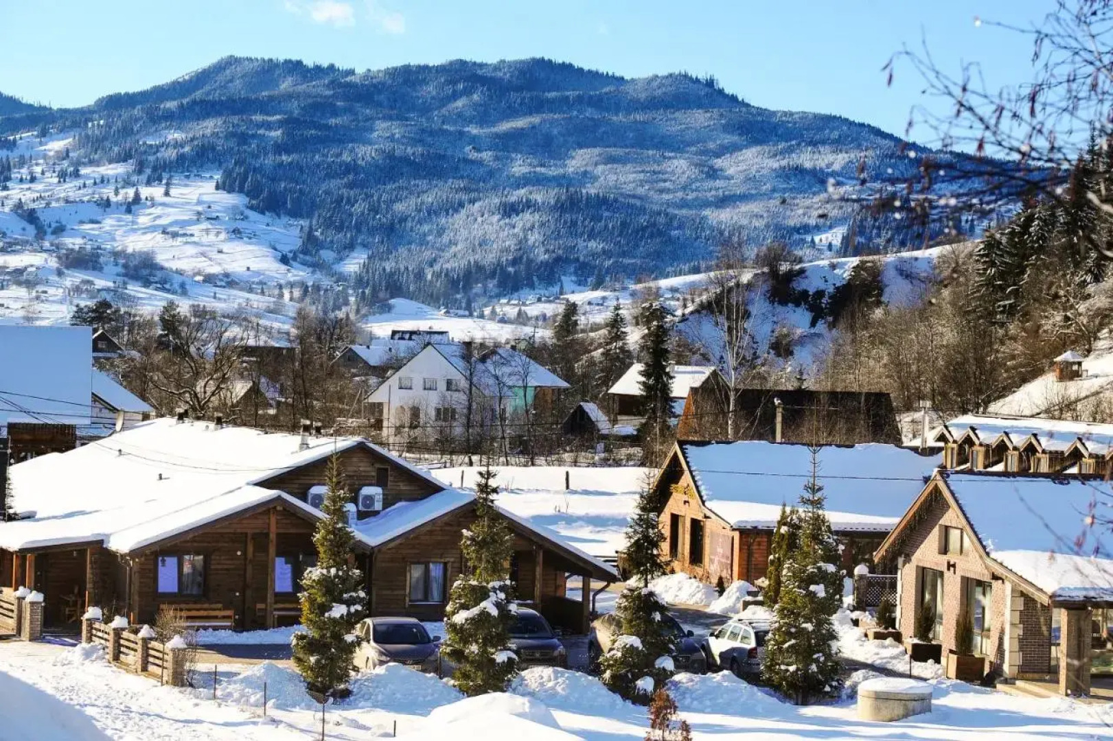 Апартамены VIP 5 каминов