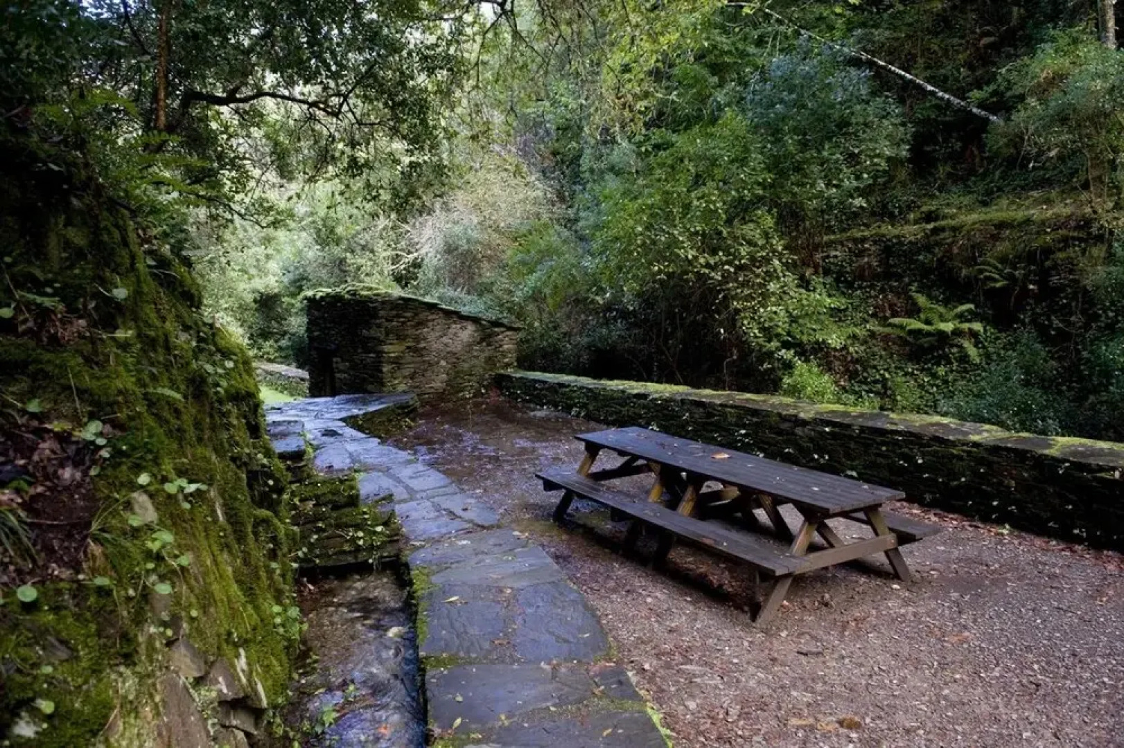 House With 2 Bedrooms in Arganil, With Wonderful Mountain View and Wifi