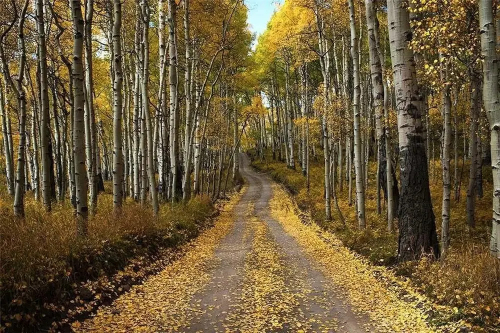 Double Diamond 3 by Exceptional Stays