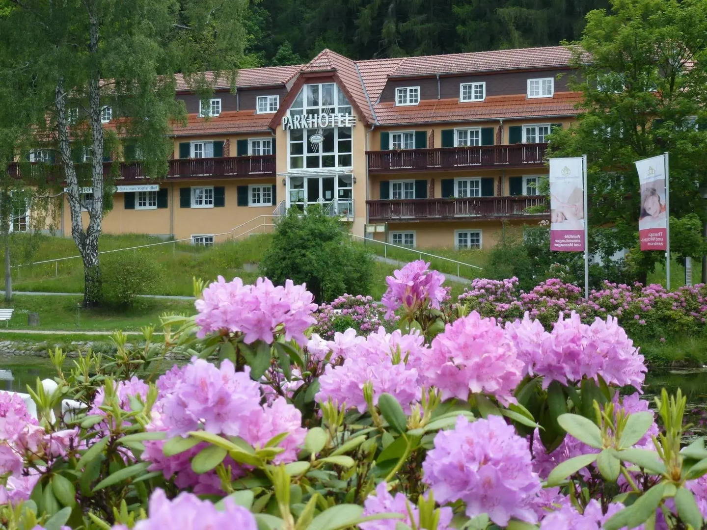 Parkhotel Bad Brambach