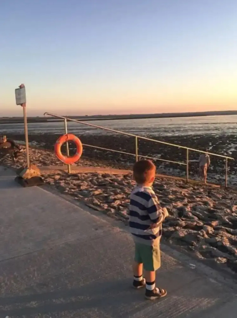 Strandnelke Modern Retreat