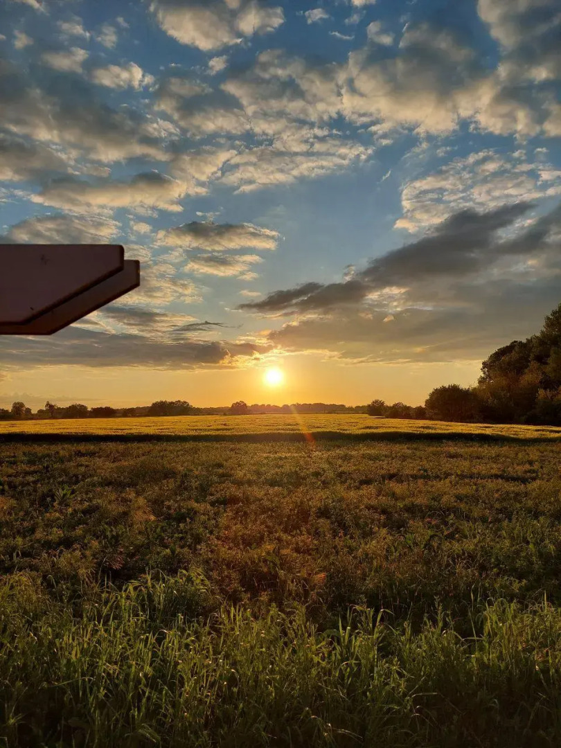 Творческий глэмпинг Скворечник