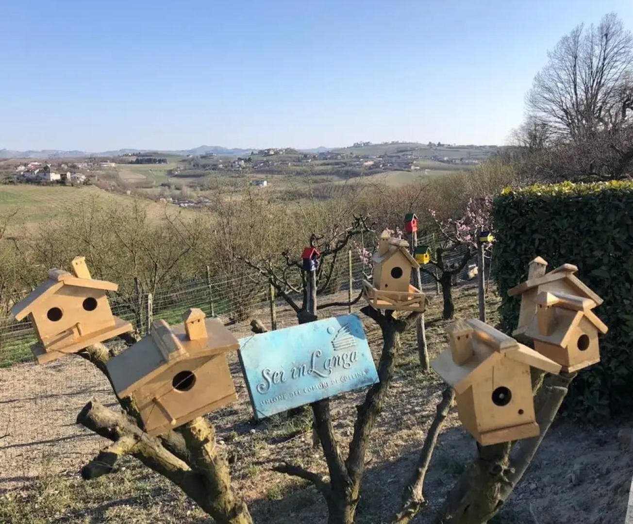 Langhe Apartment in Bottega di Rosanna