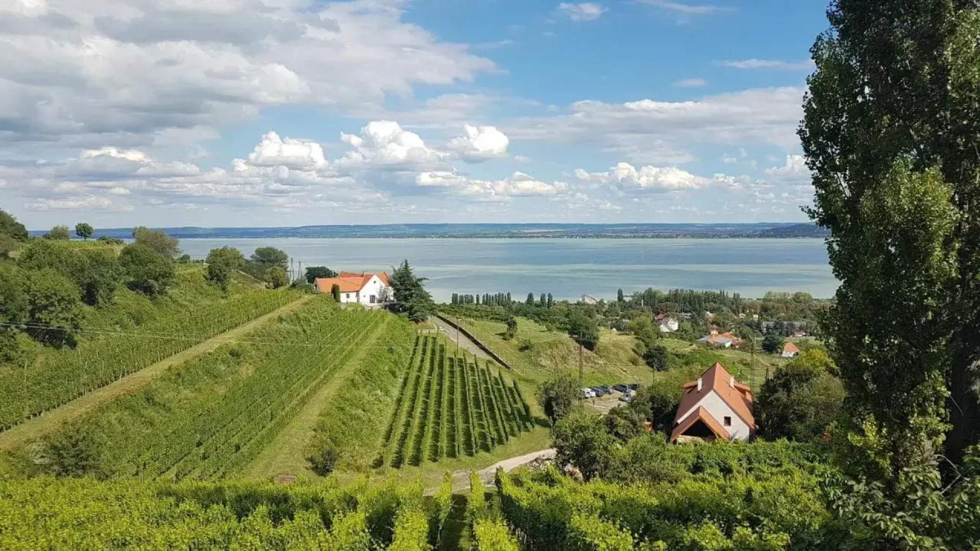 Szatmári Vendégház