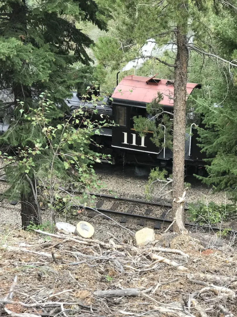 Historic Windsor Hotel