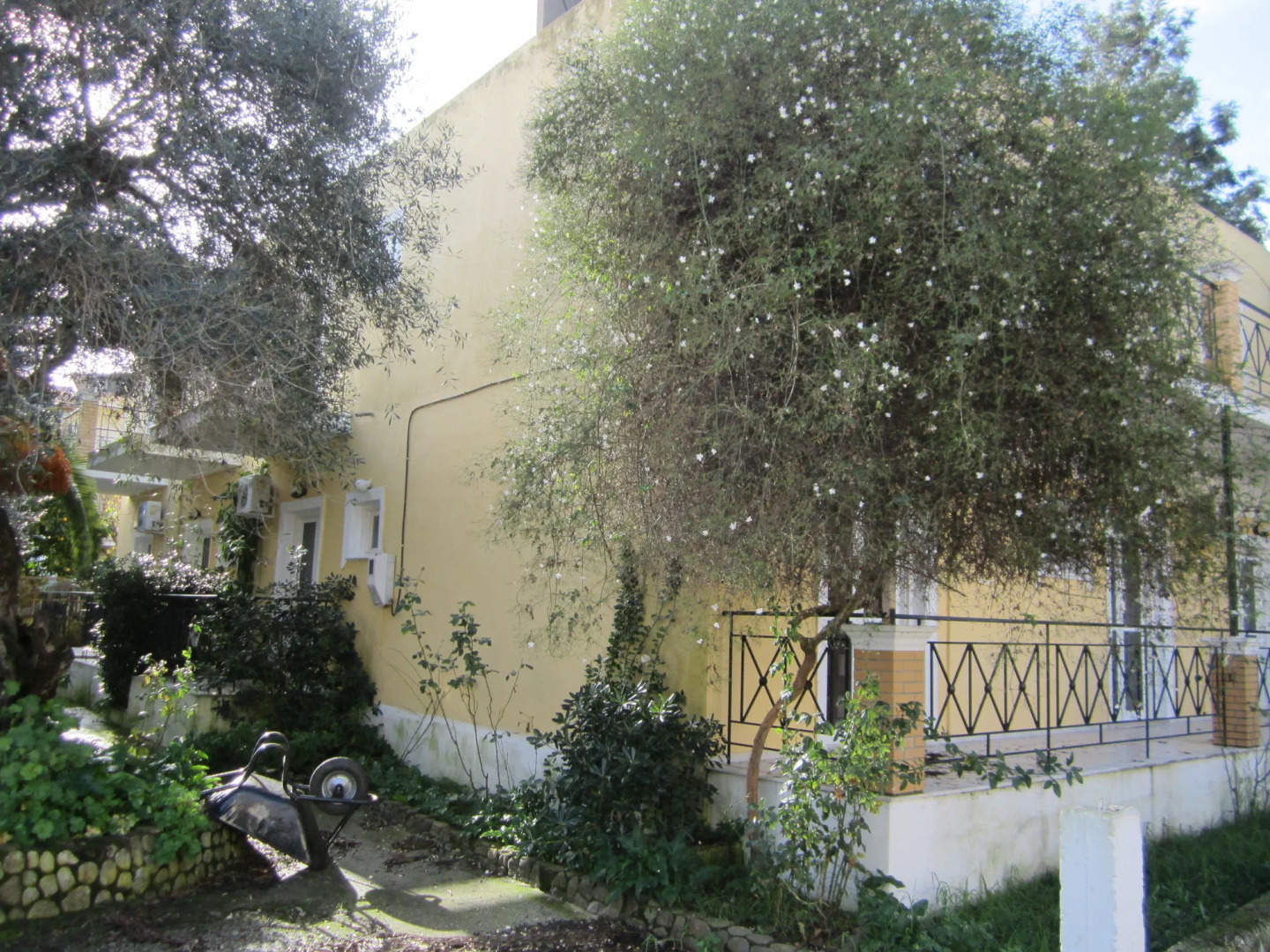 Island Bali - Adults Only