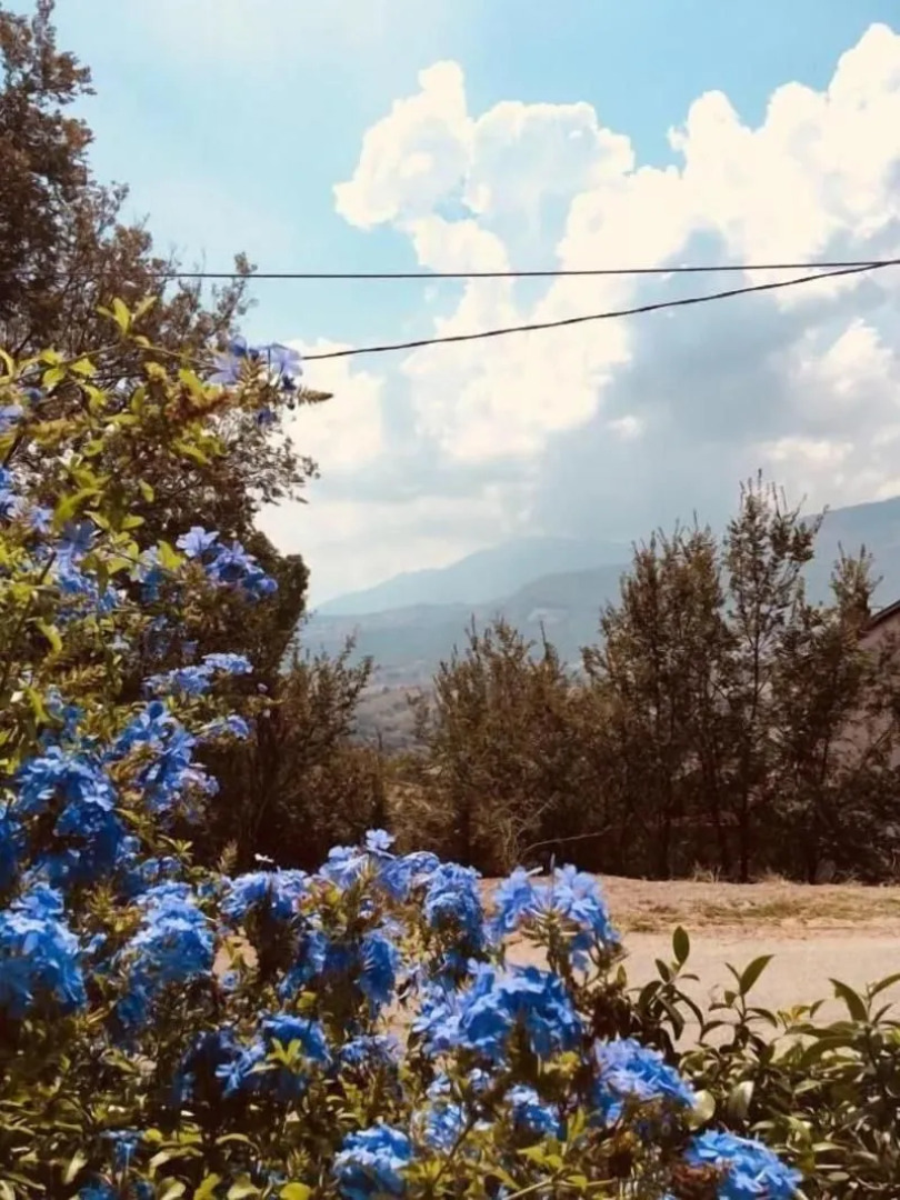 Agriturismo Carretiello