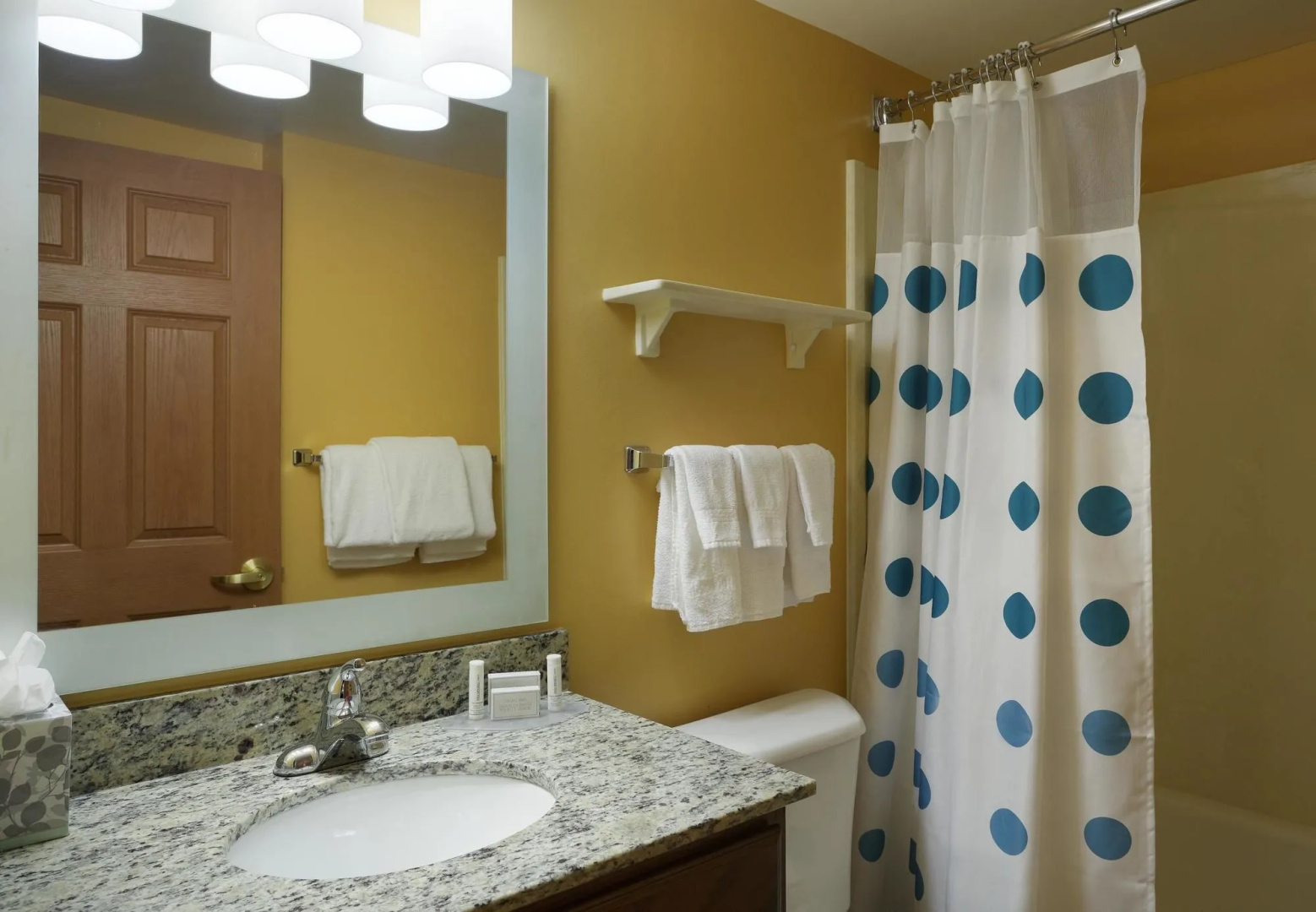 MainStay Suites Tampa Moffitt-USF