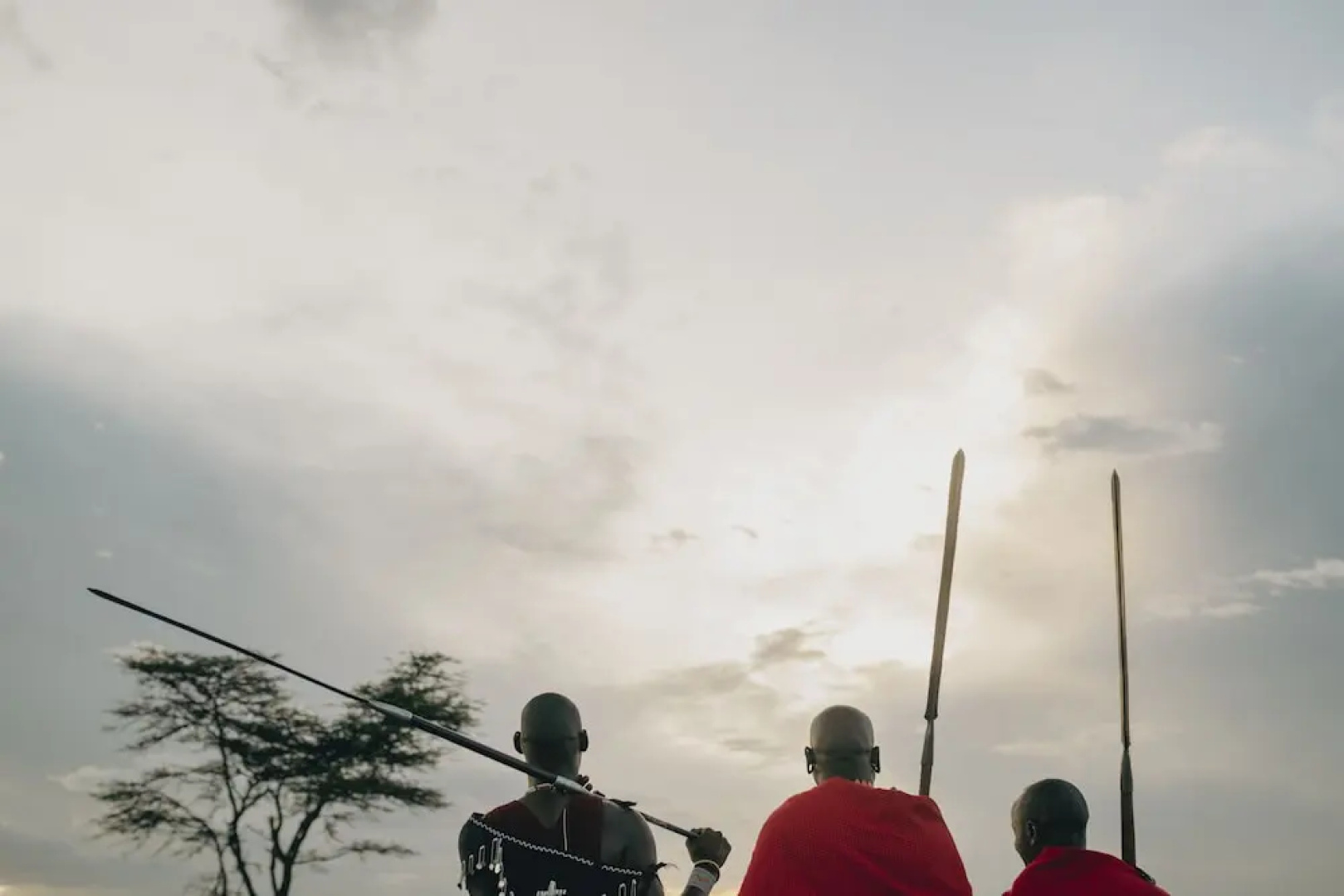 Ngorongoro Lodge member of Meliá Collection - The Leading Hotels of the World