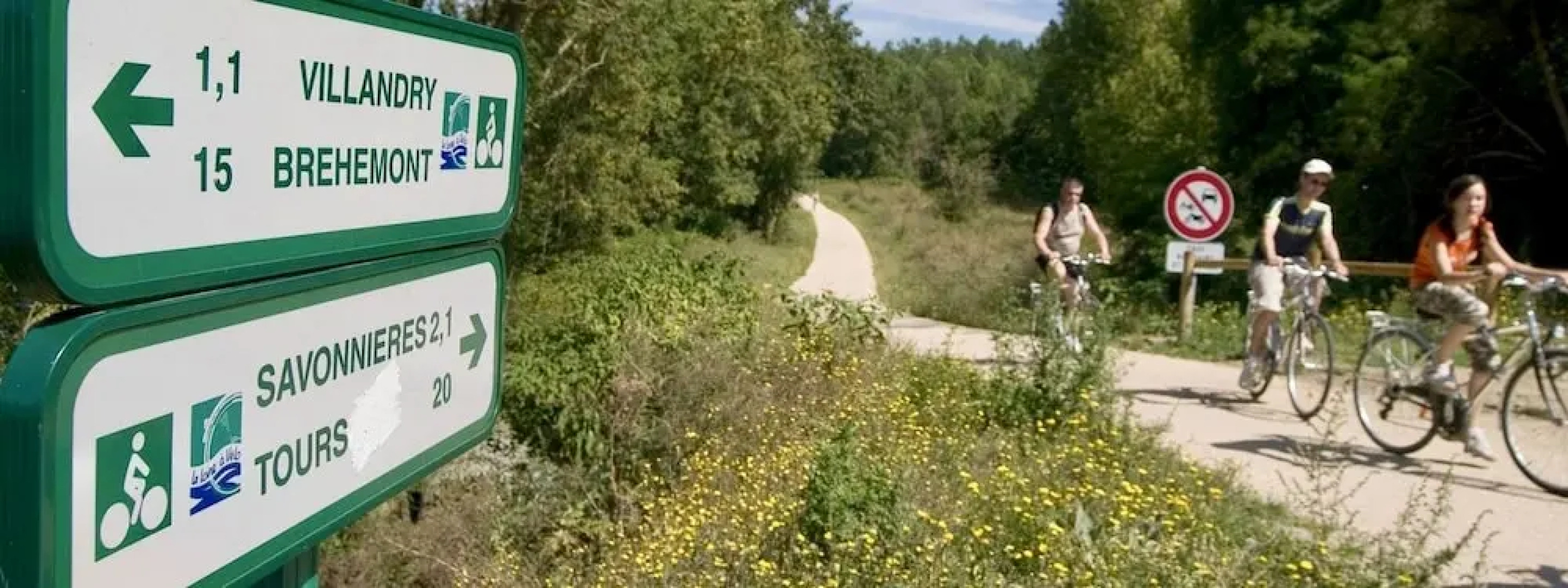 Appartement Zen sous comble