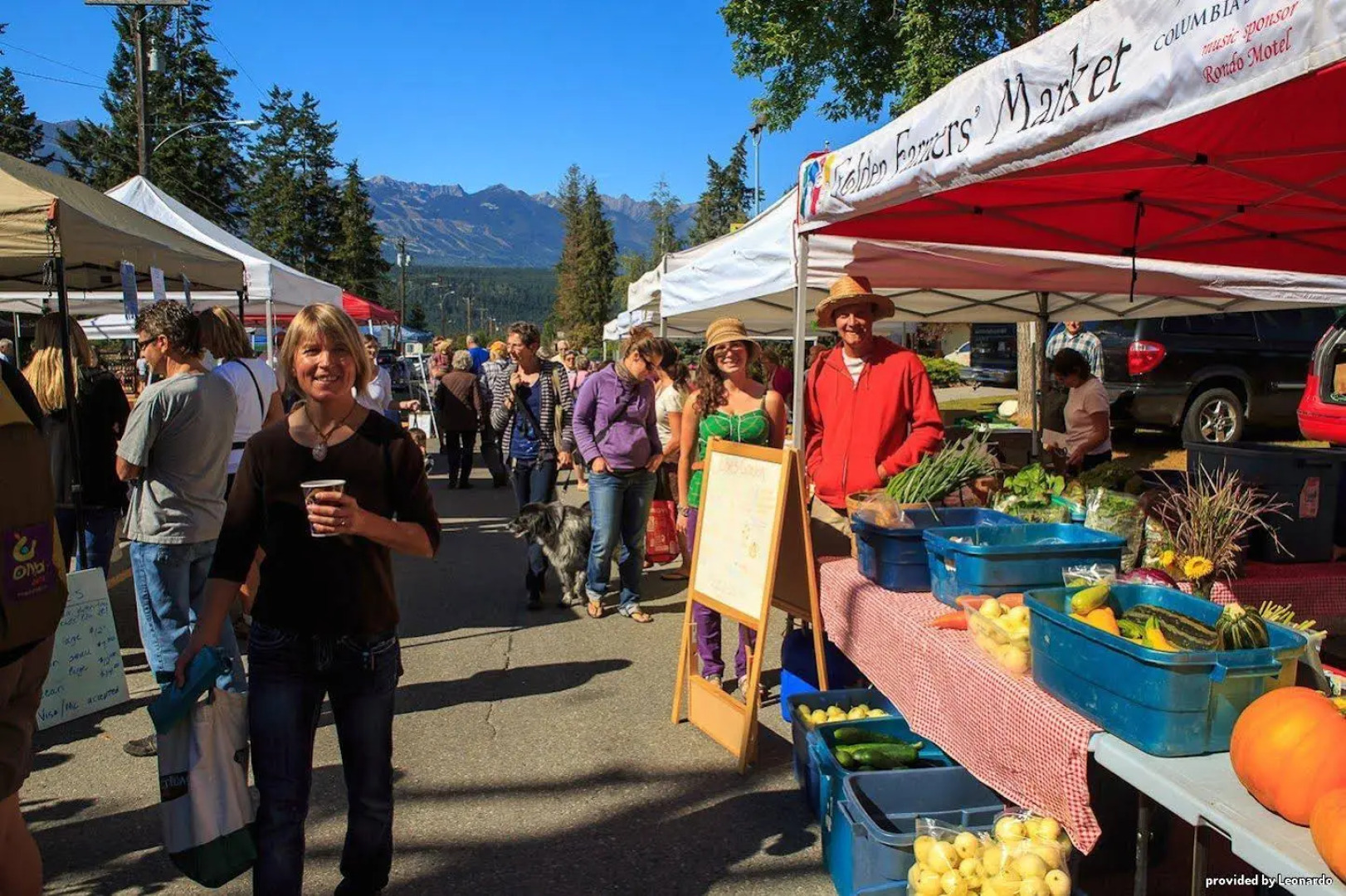 Best Western Mountainview Inn