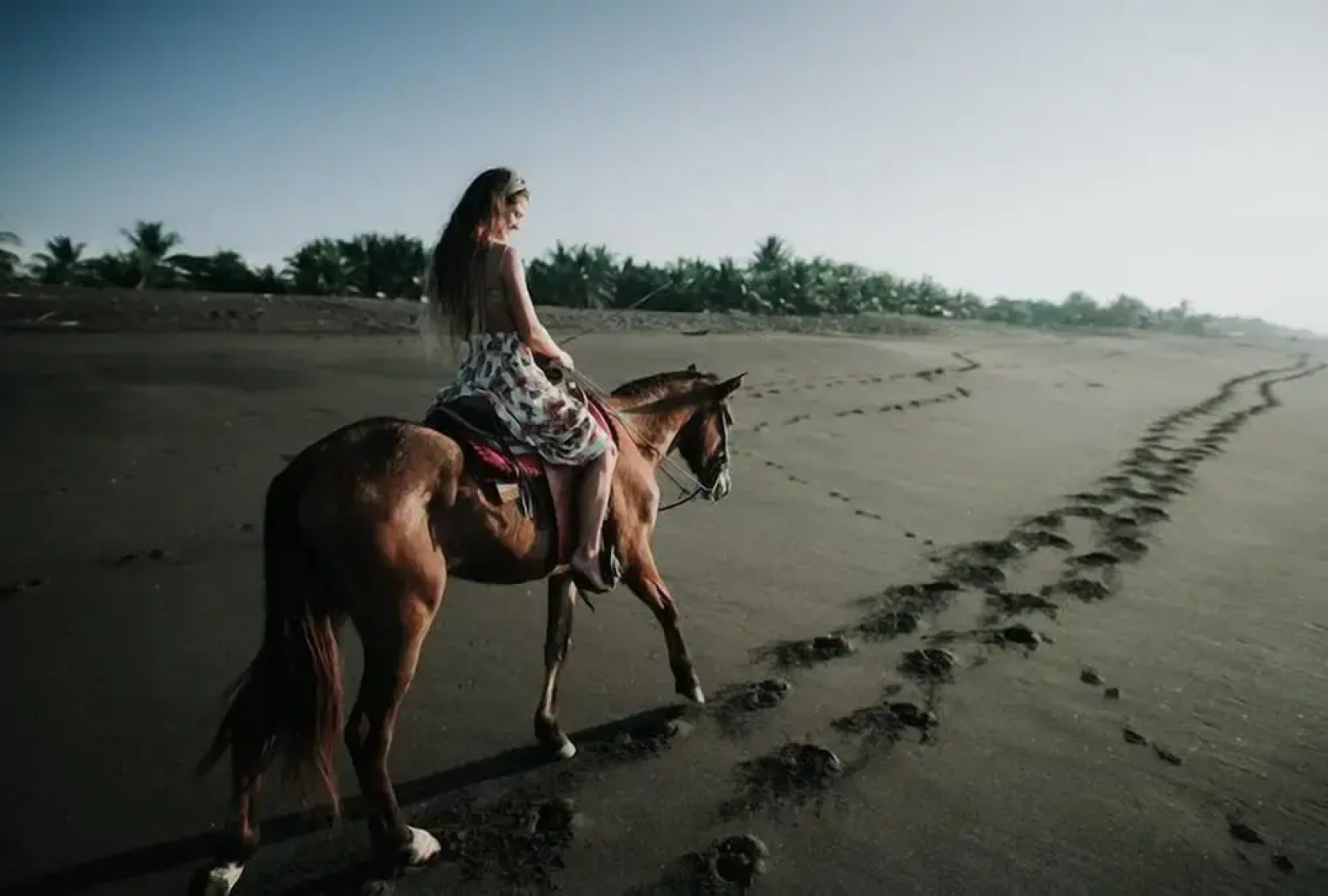 Cocori Lodge Monterrico