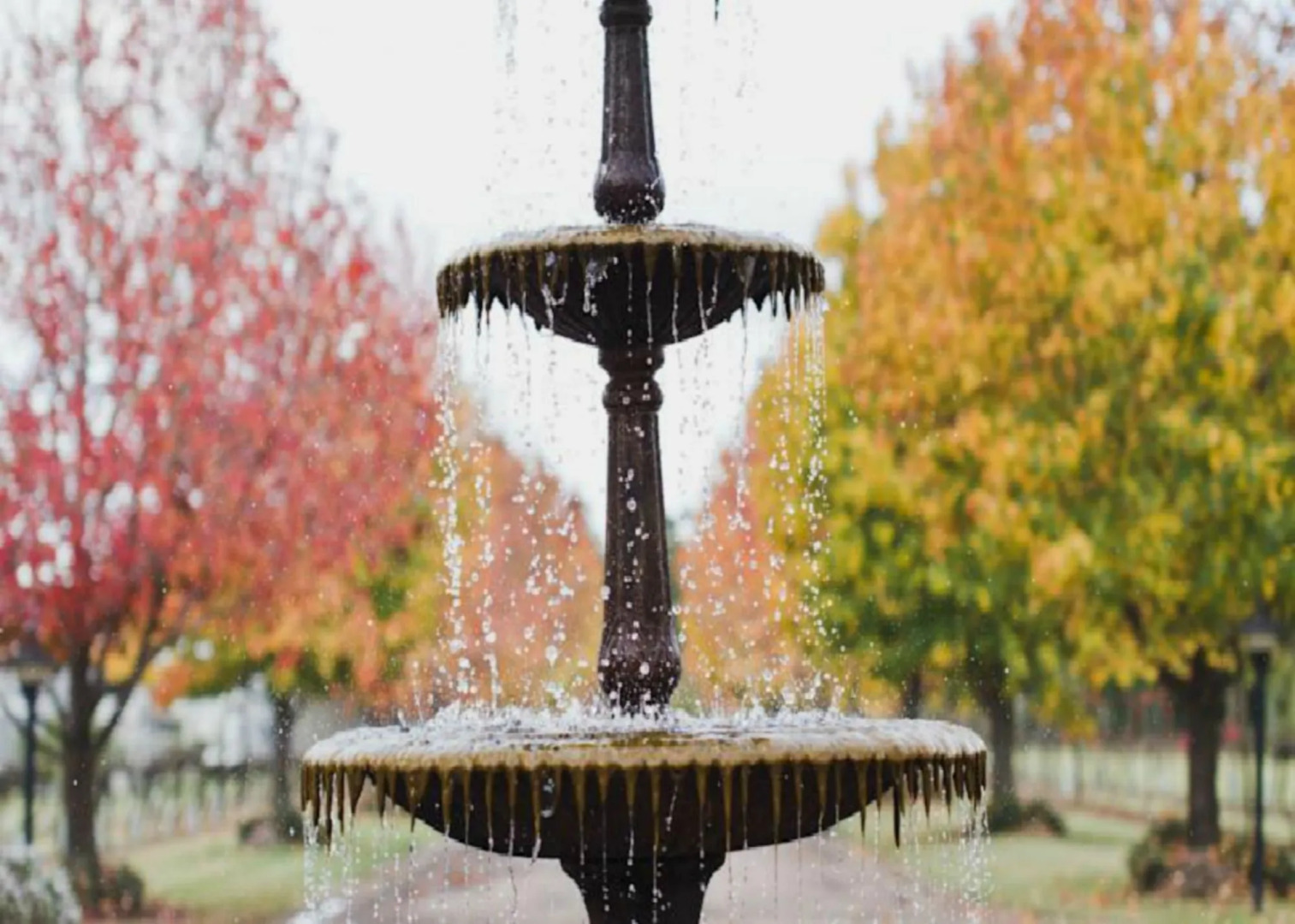 The Convent Hunter Valley Hotel