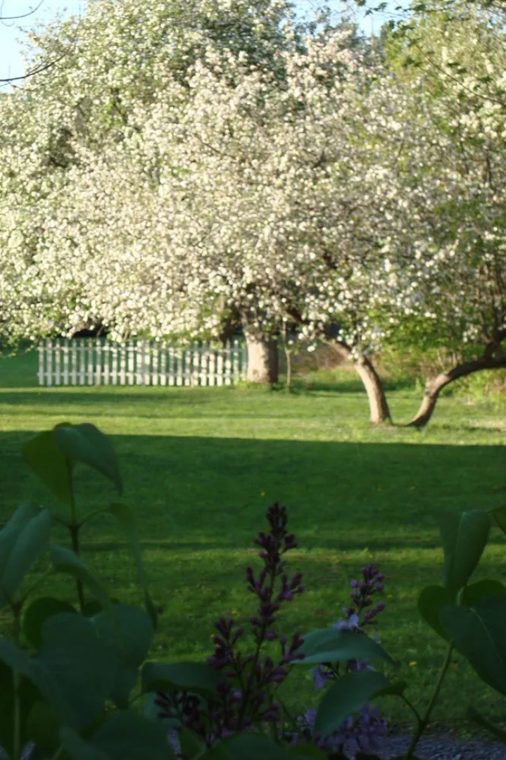 The Clark House Bed and Breakfast