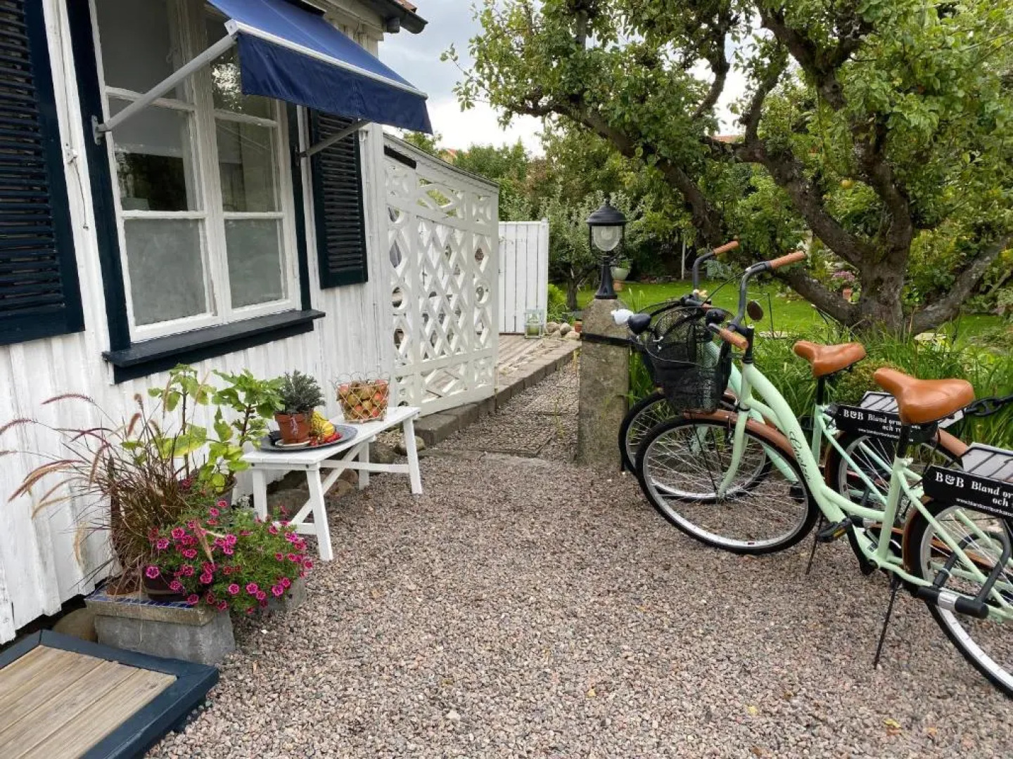 B&B Bland ormbunkar och rosor