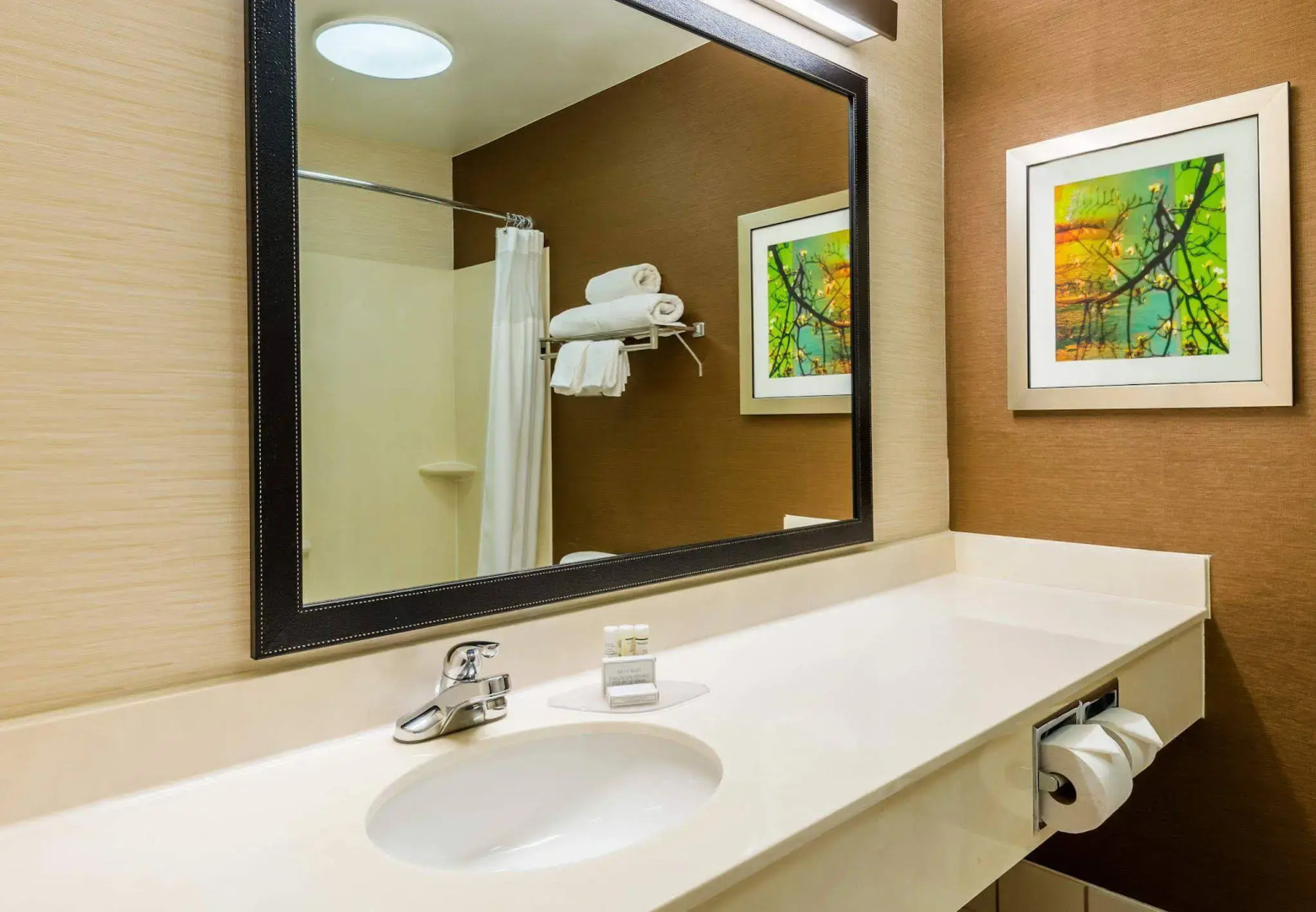 Fairfield Inn Albany University Area