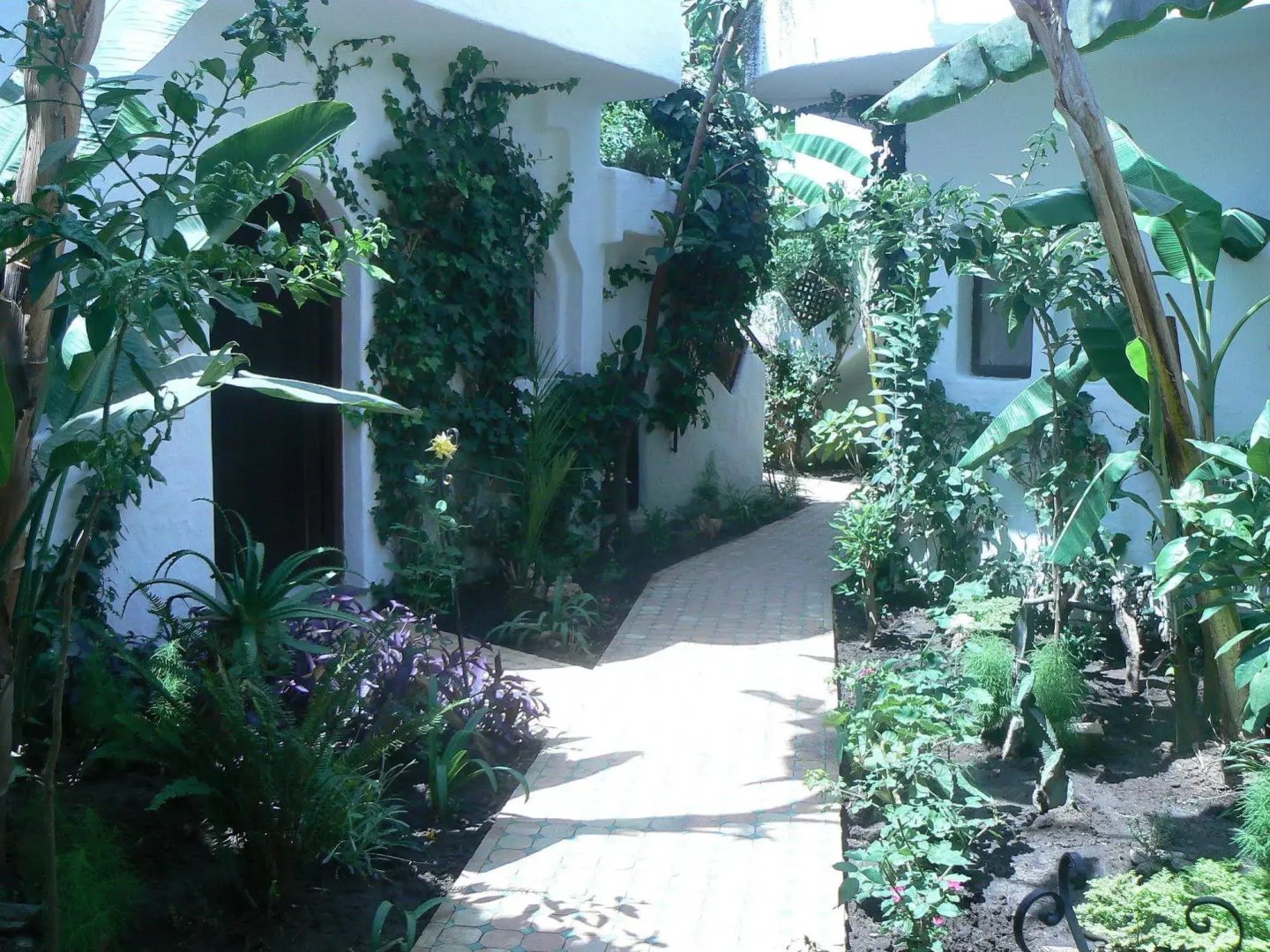 Hacienda Martil