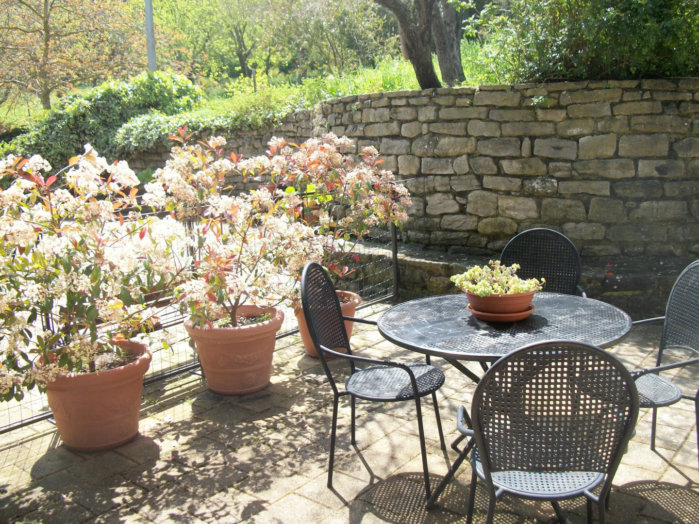Le Poiane B&B