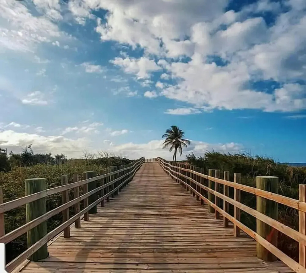 Montones Beach Studio B-3