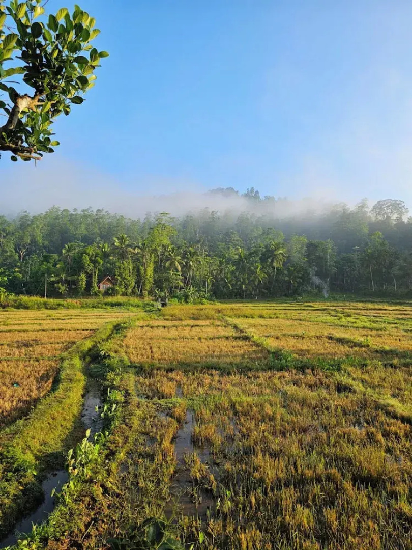 Sinharaja Serenity Retreat