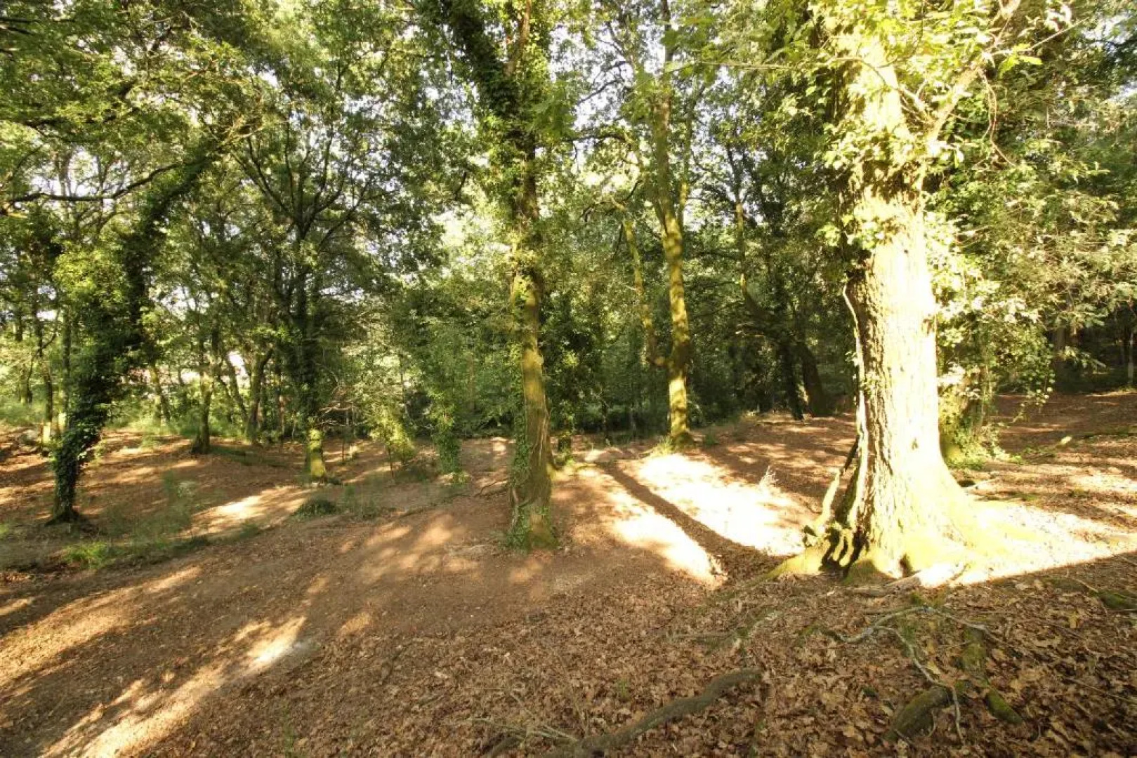 Quinta d'Areda Wine&Pool Experience