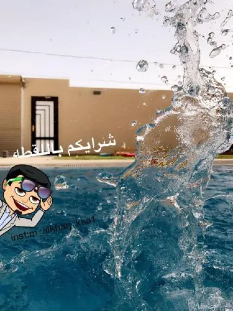 Alstroemeria Chalets