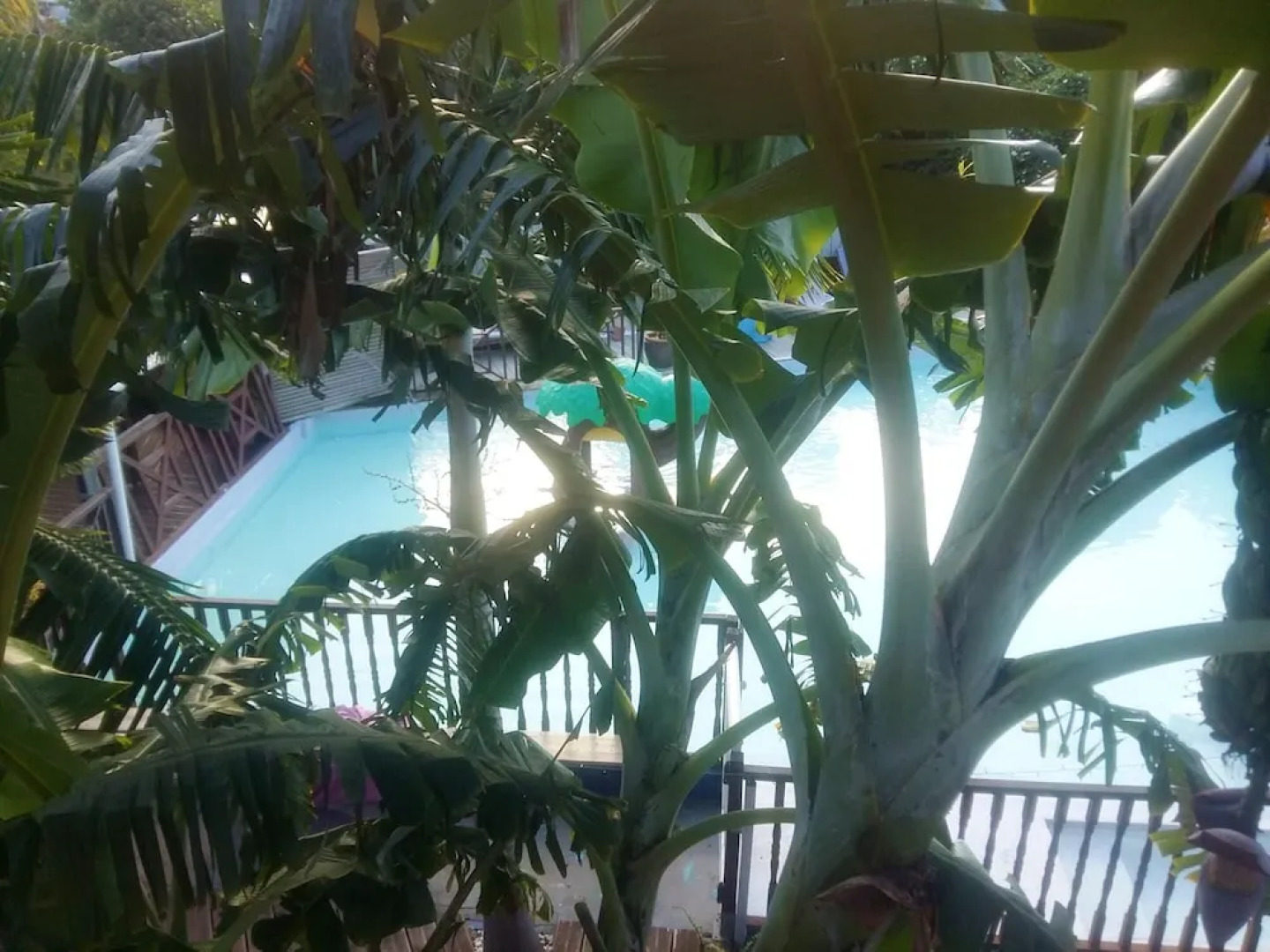 Apartment With 2 Bedrooms in Avirons, With Pool Access, Enclosed Garde