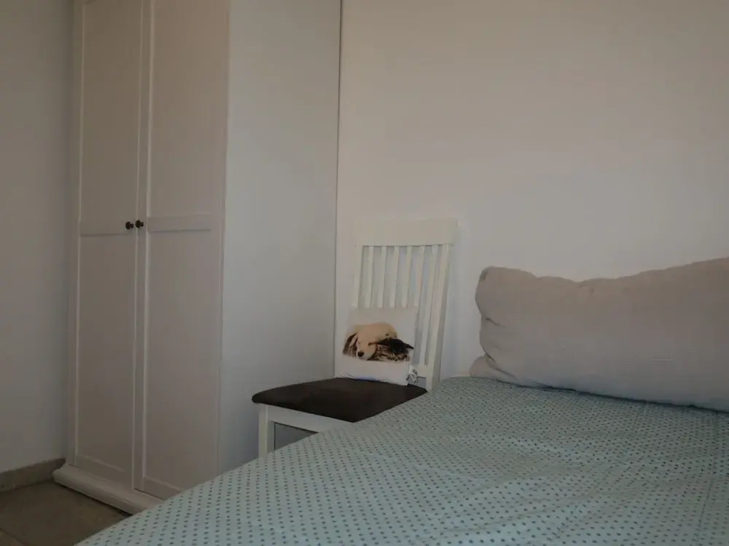 Fasan Warwerort in Warwerort