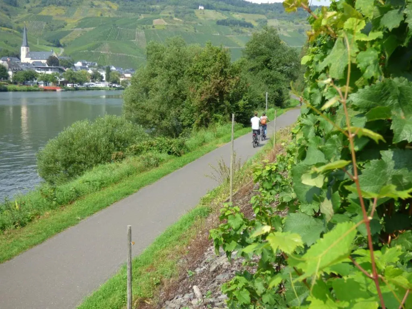 Sonnenhaus Ferienwohnungen