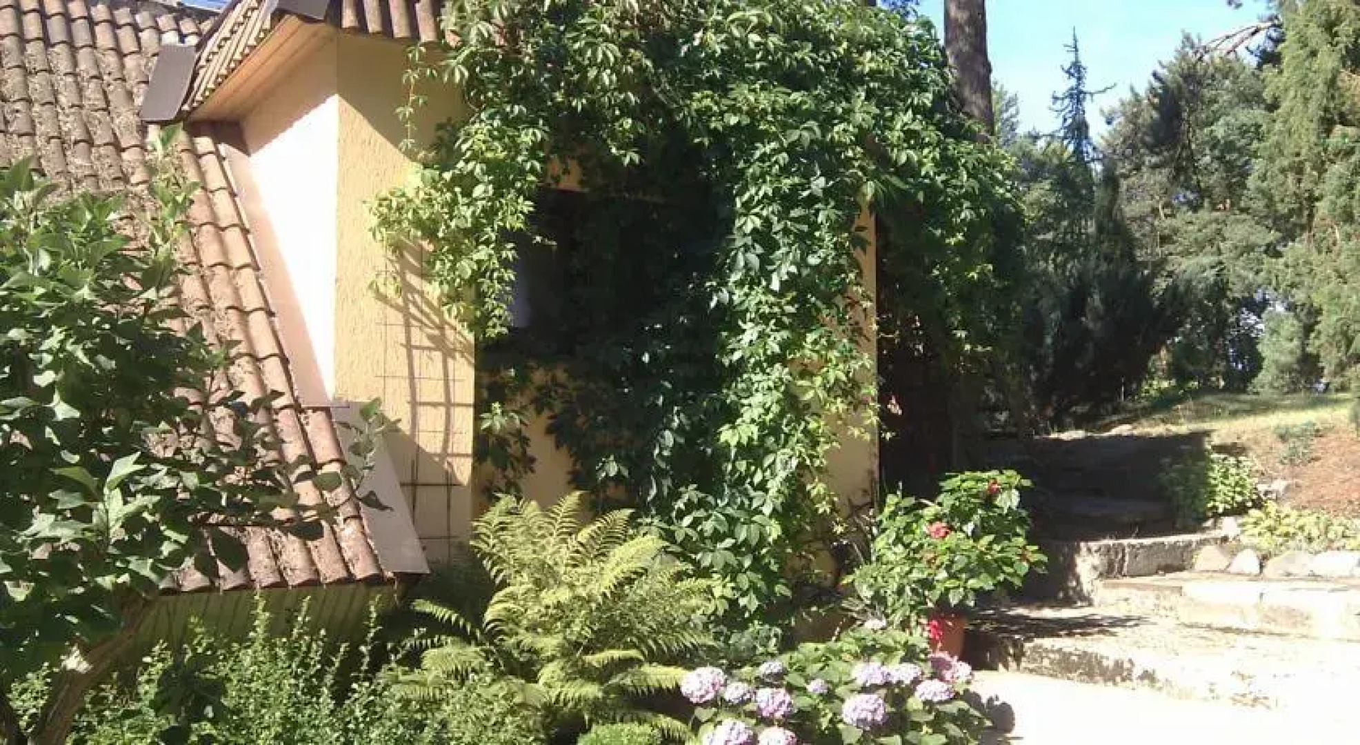 Guesthouse Melnalkšņi