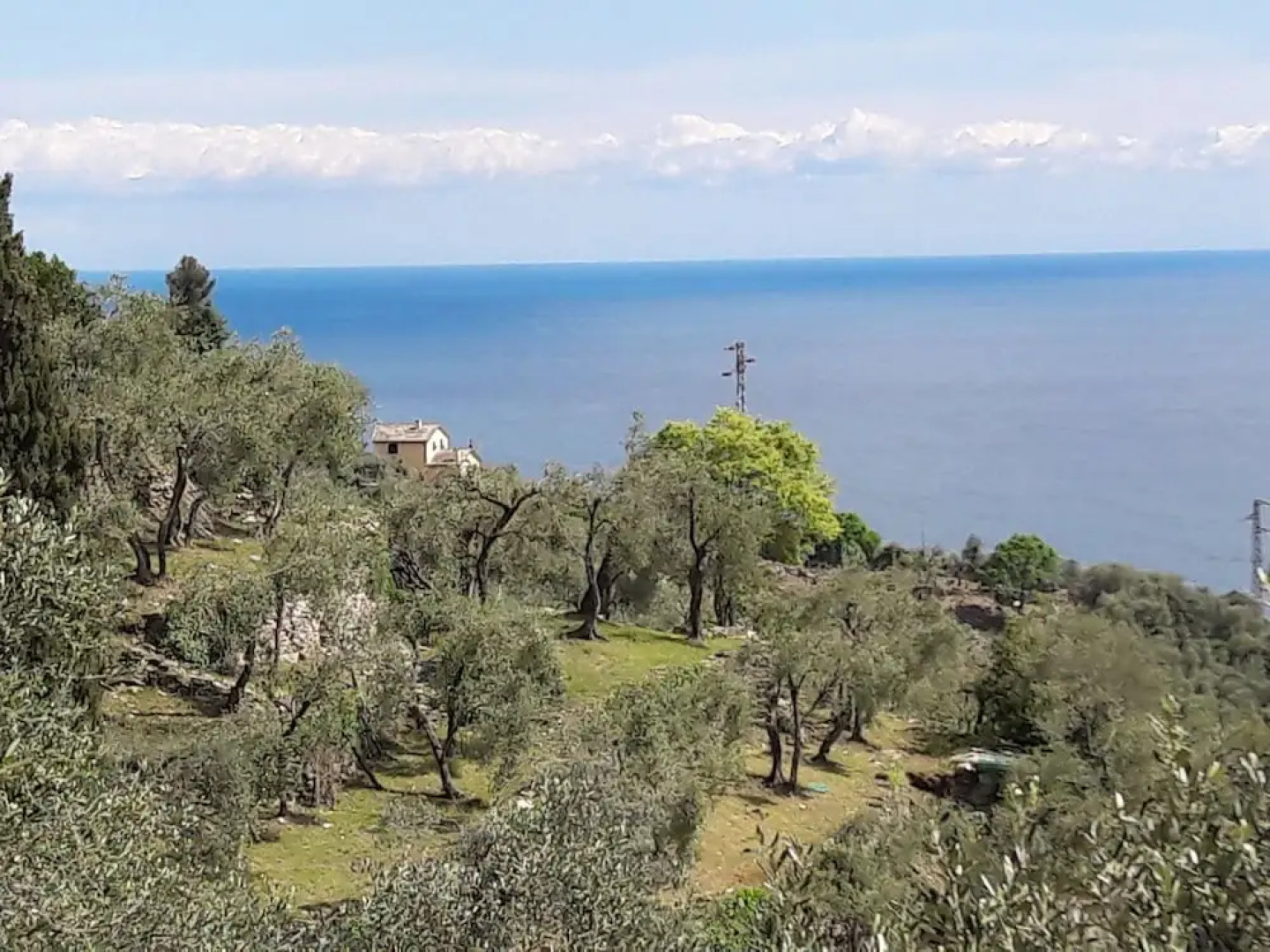 Ulivi Mare Portofino