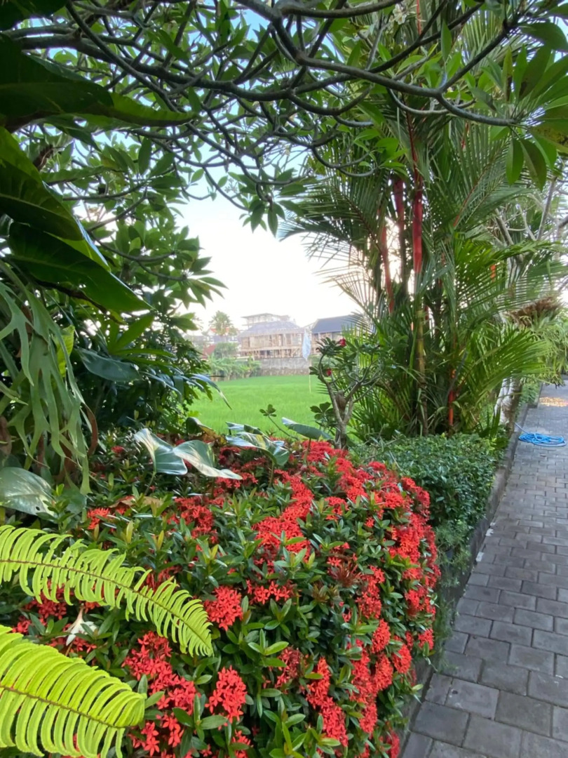 RedDoorz @ Nelayan Canggu