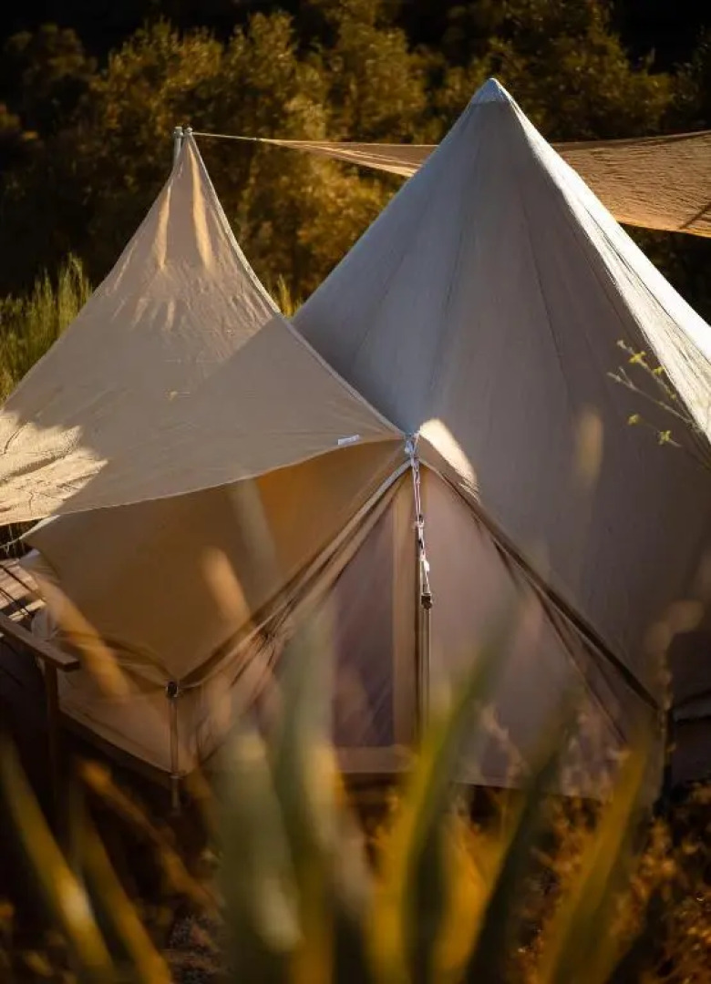 Campo Agave Luxury Tents