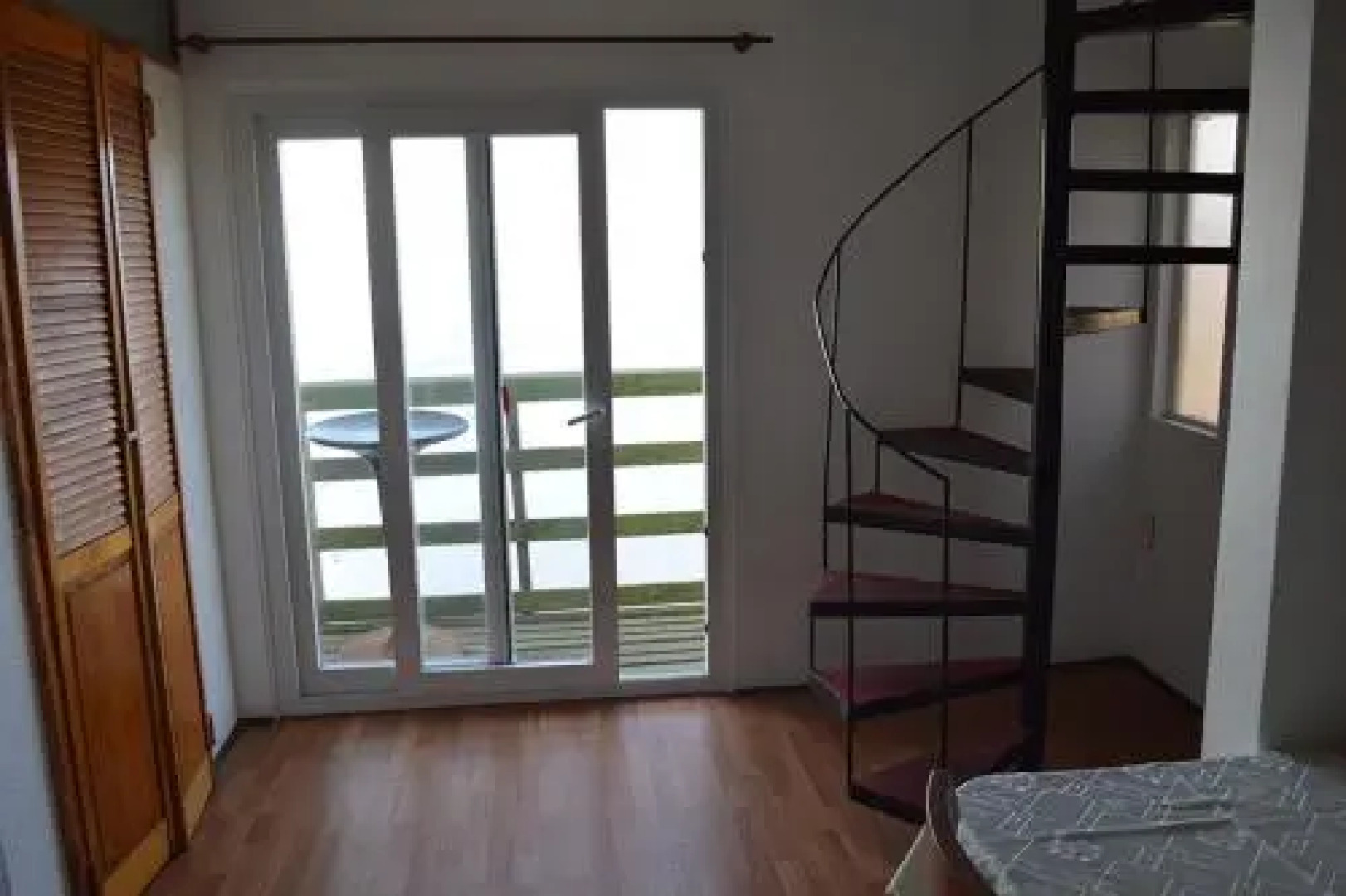 Pingüino En La Roca Cabañas