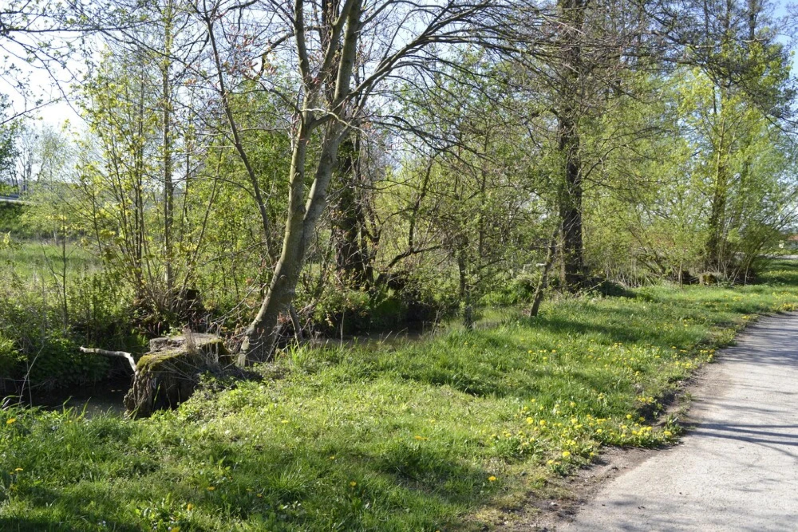 Romantisches Bed&Breakfast Apfelstern