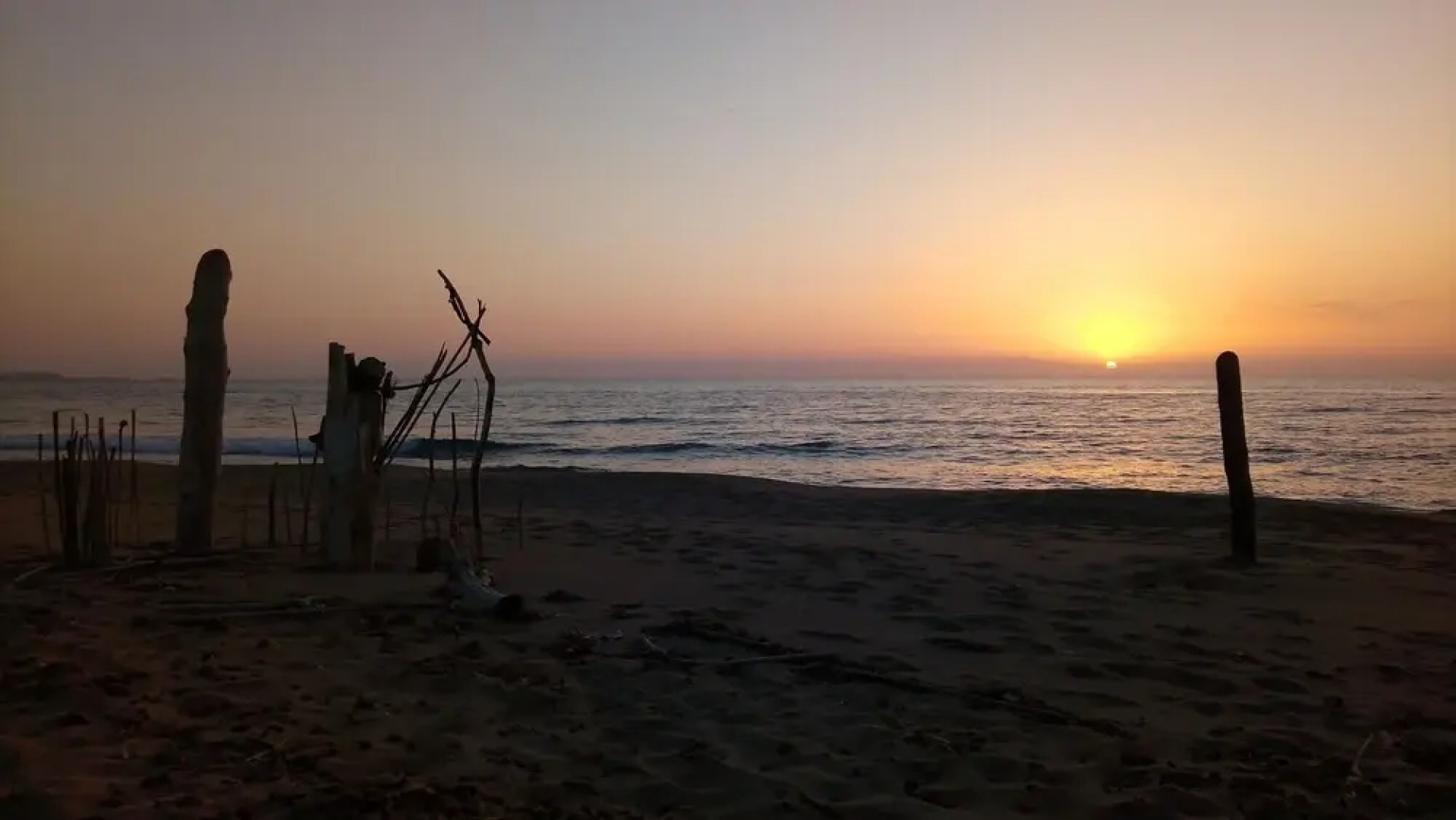 Green House - Woods And Beaches - Sardinia