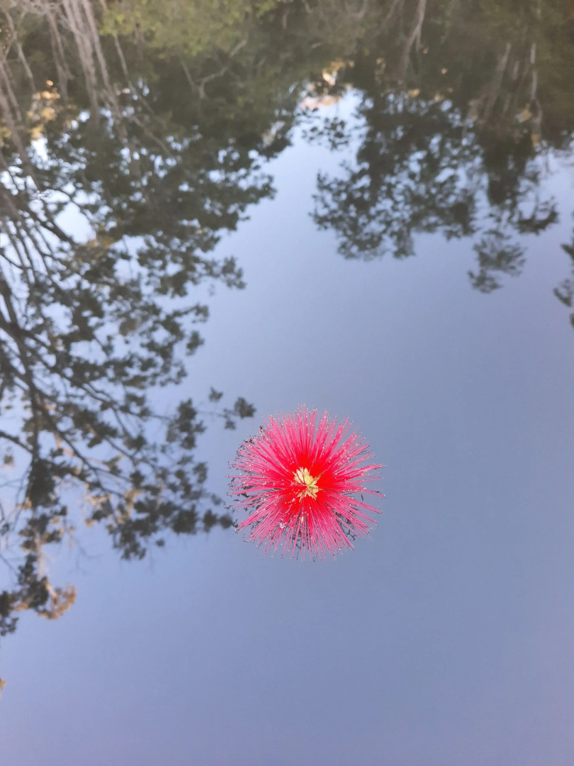 Pousada Arara Valença - RJ