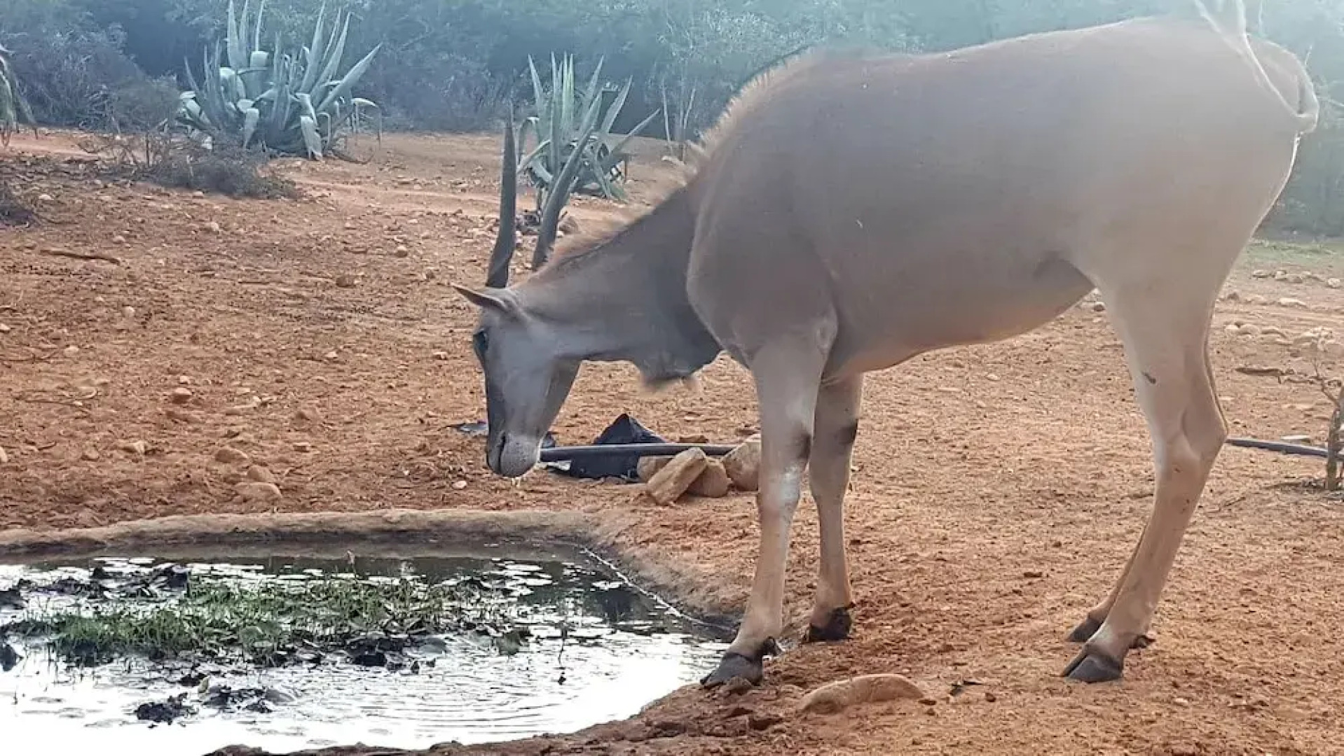 Zwartberg View Mountain Lodge