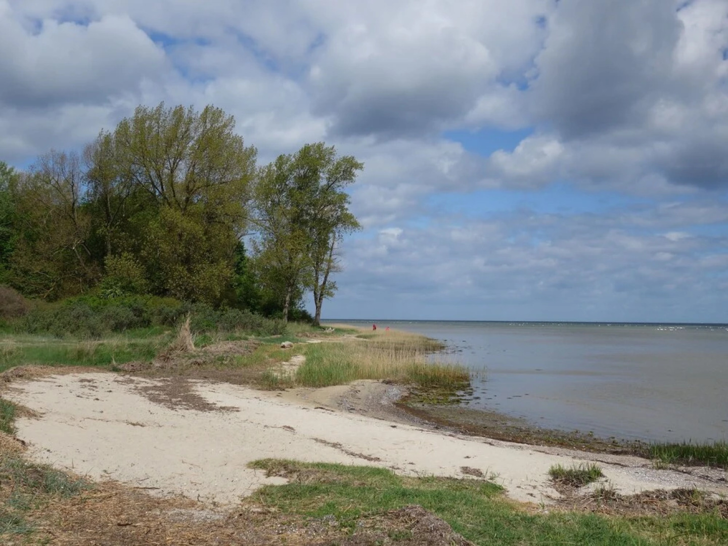 Beautiful Mansion Near Lake in Warnow