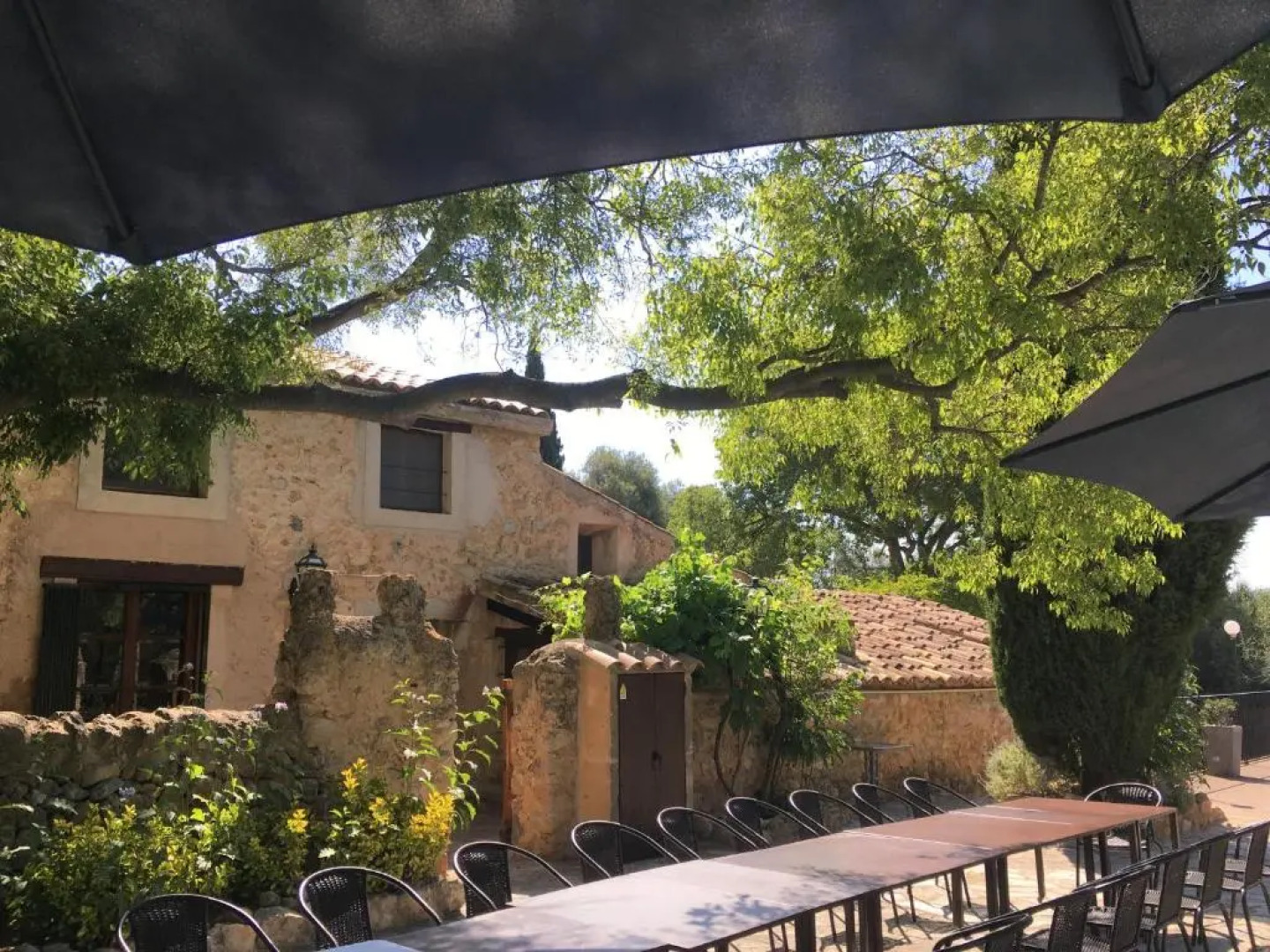 Agroturismo Son Penyaflor