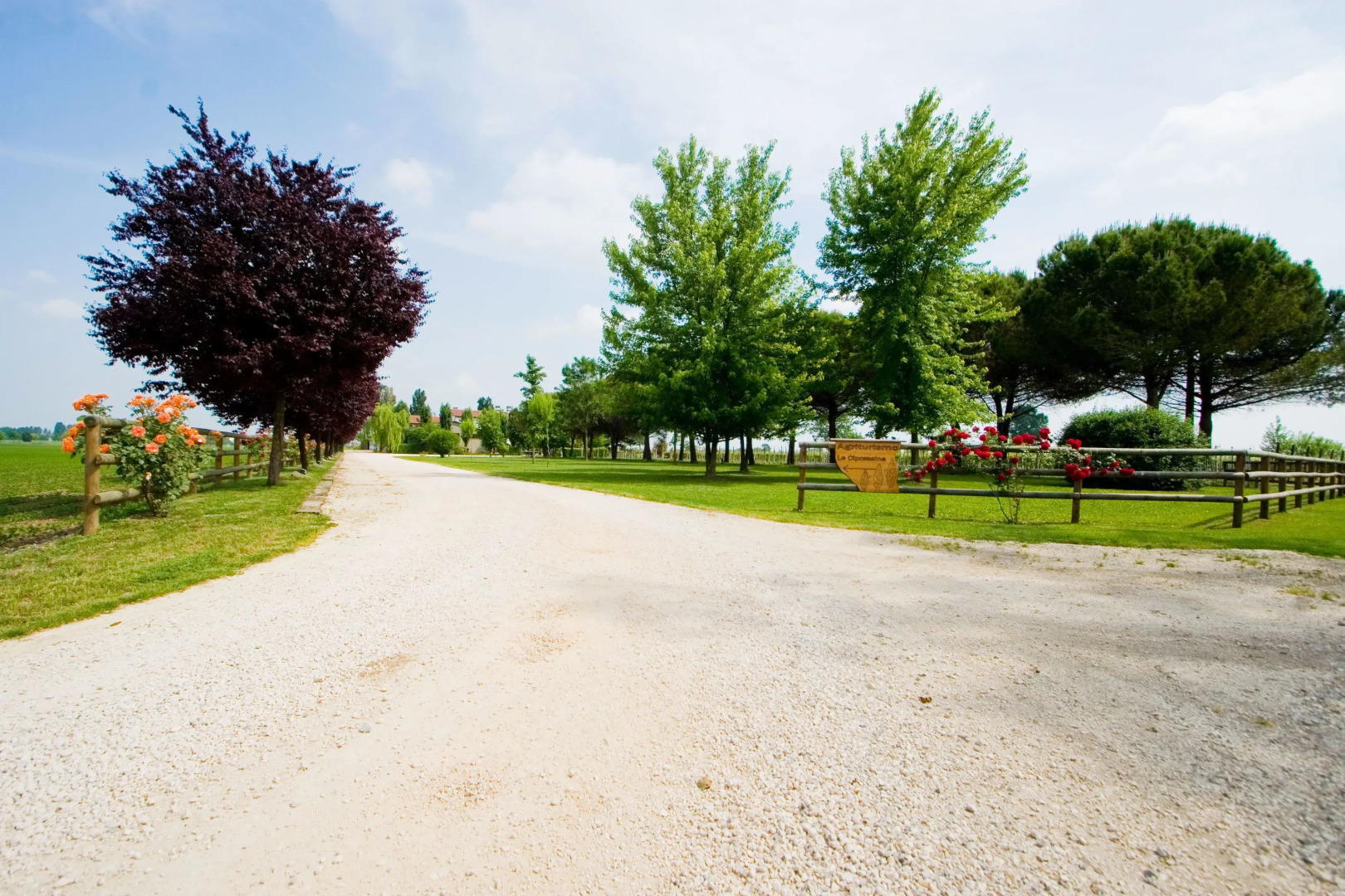 Agriturismo Le Cipressine