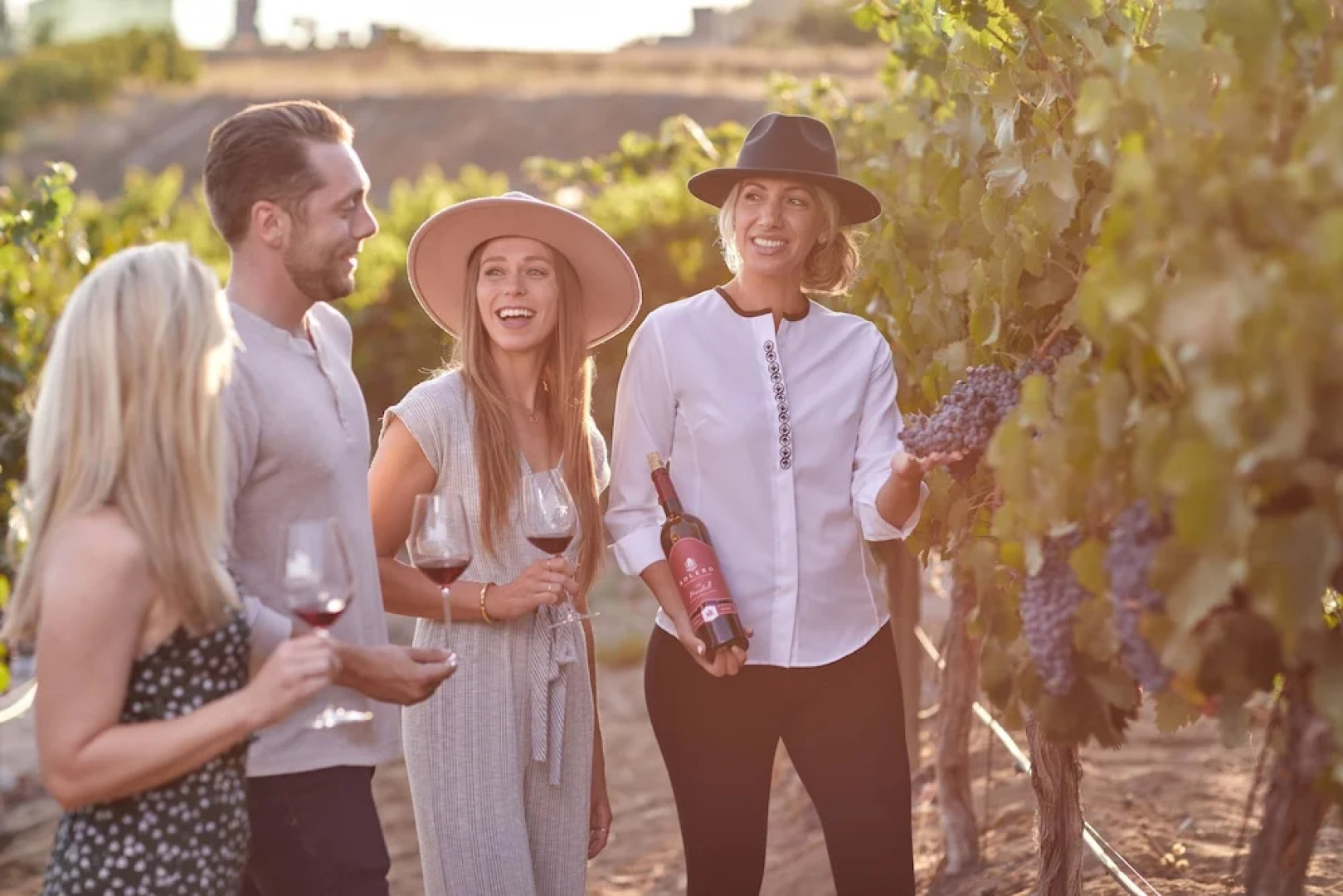Europa Village Wineries and Resort