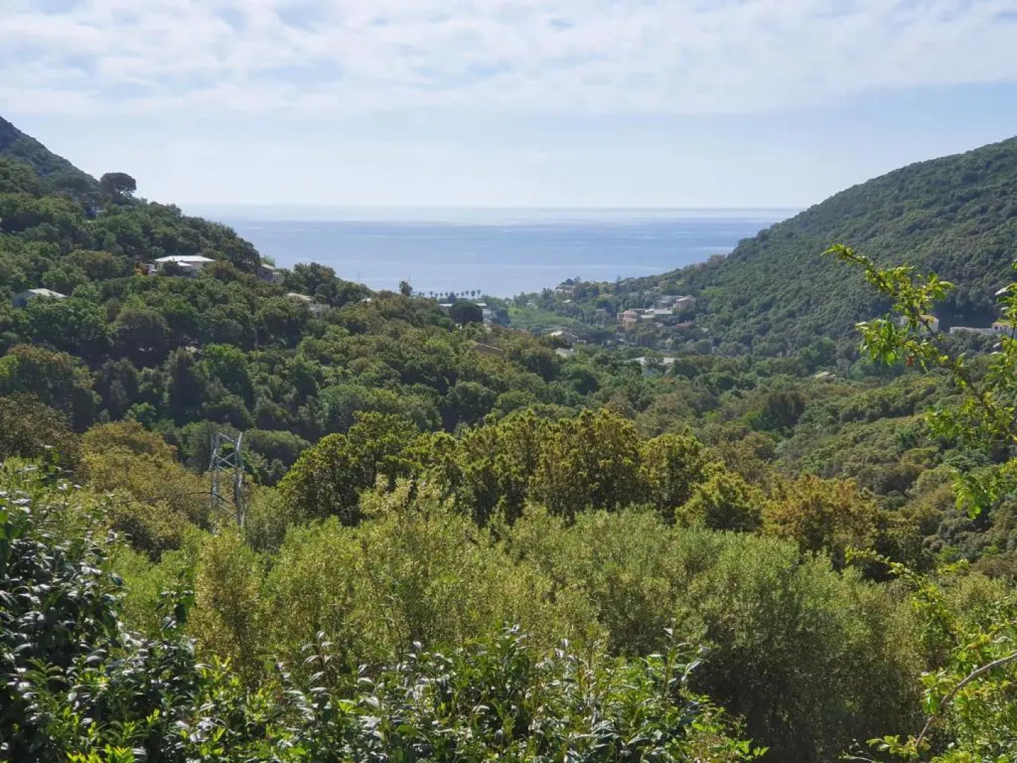 Cap Corse Uribellinu 2