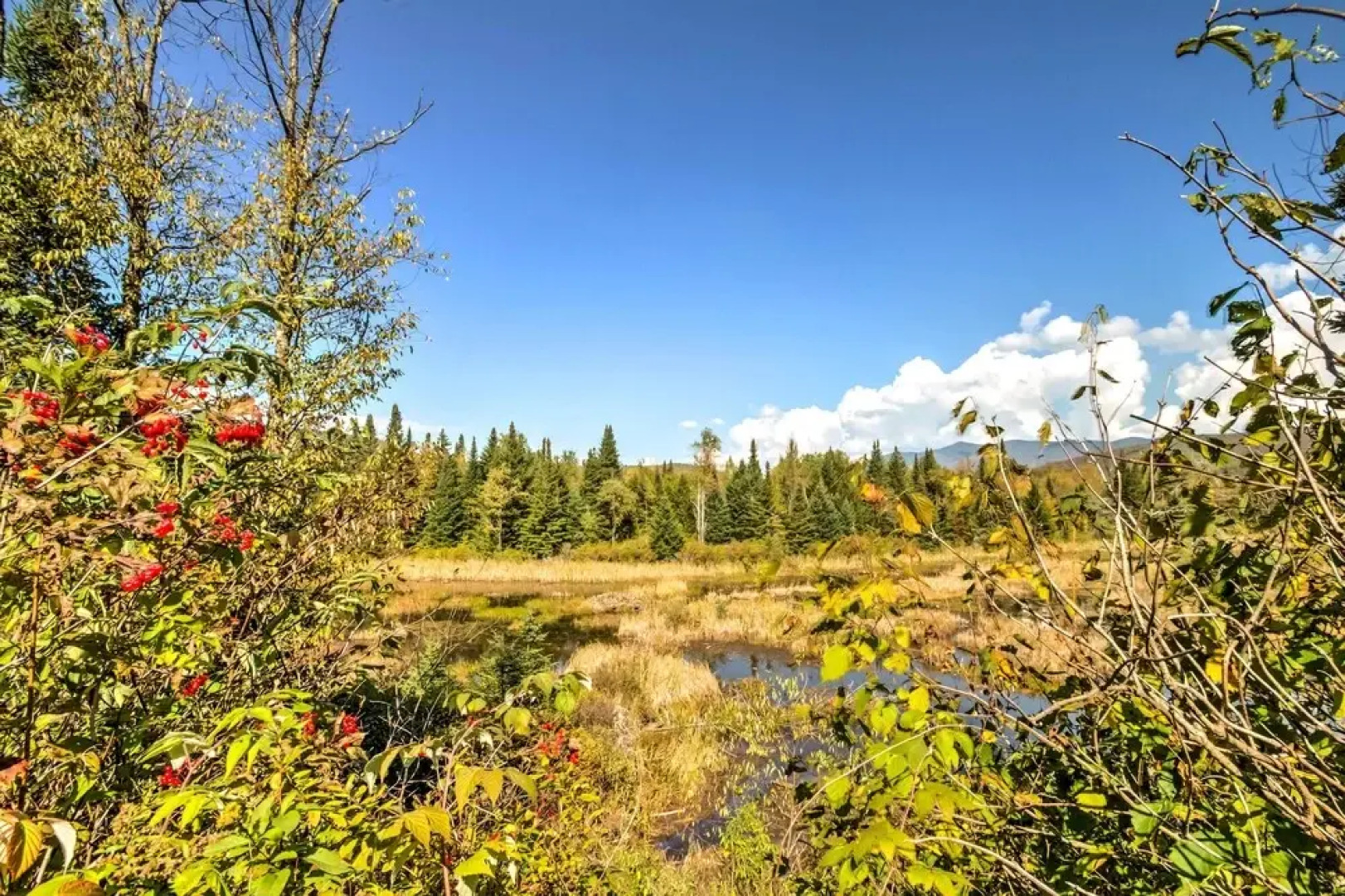 Spacious Twin Mountain Vacation Rental on 5 Acres!