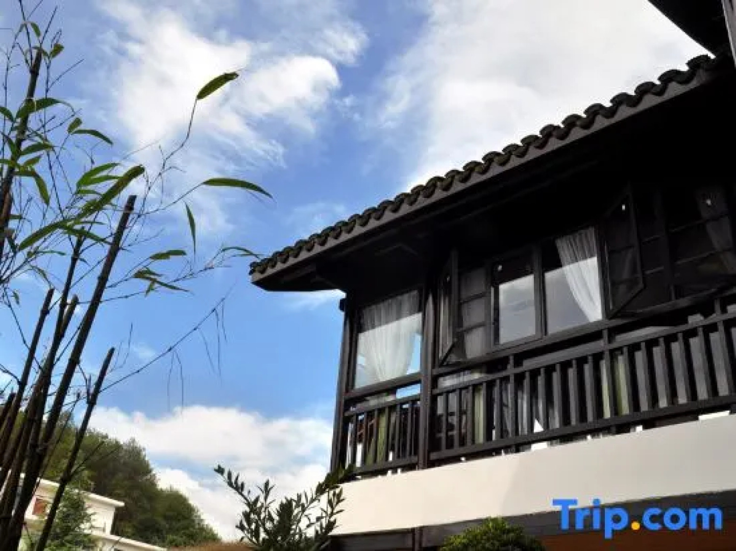 Sun Valley Expert Building