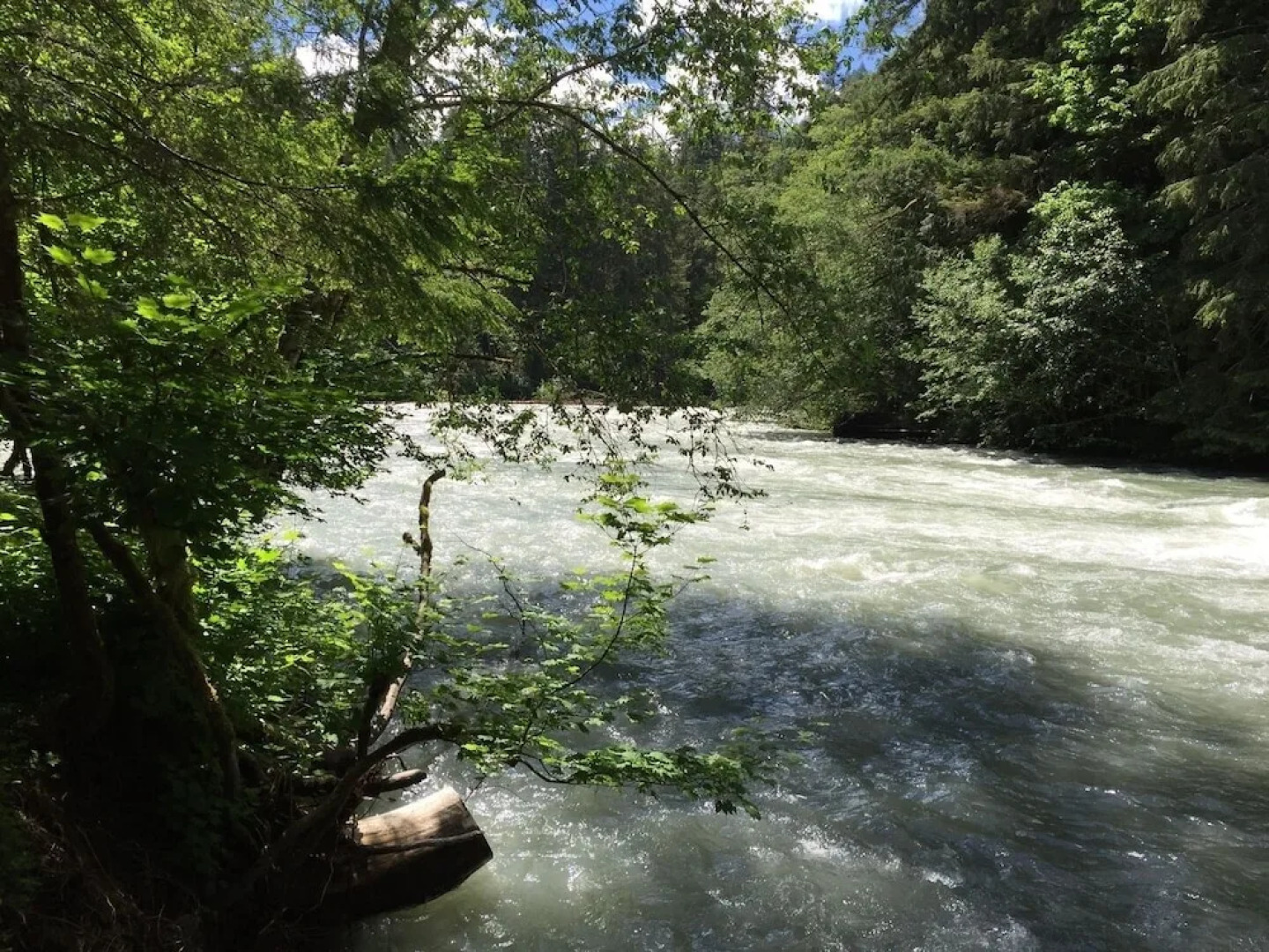 59sw - Fireplace - Dishwasher - Washer/dryer - Sleeps 6 2 Bedroom Home by RedAwning